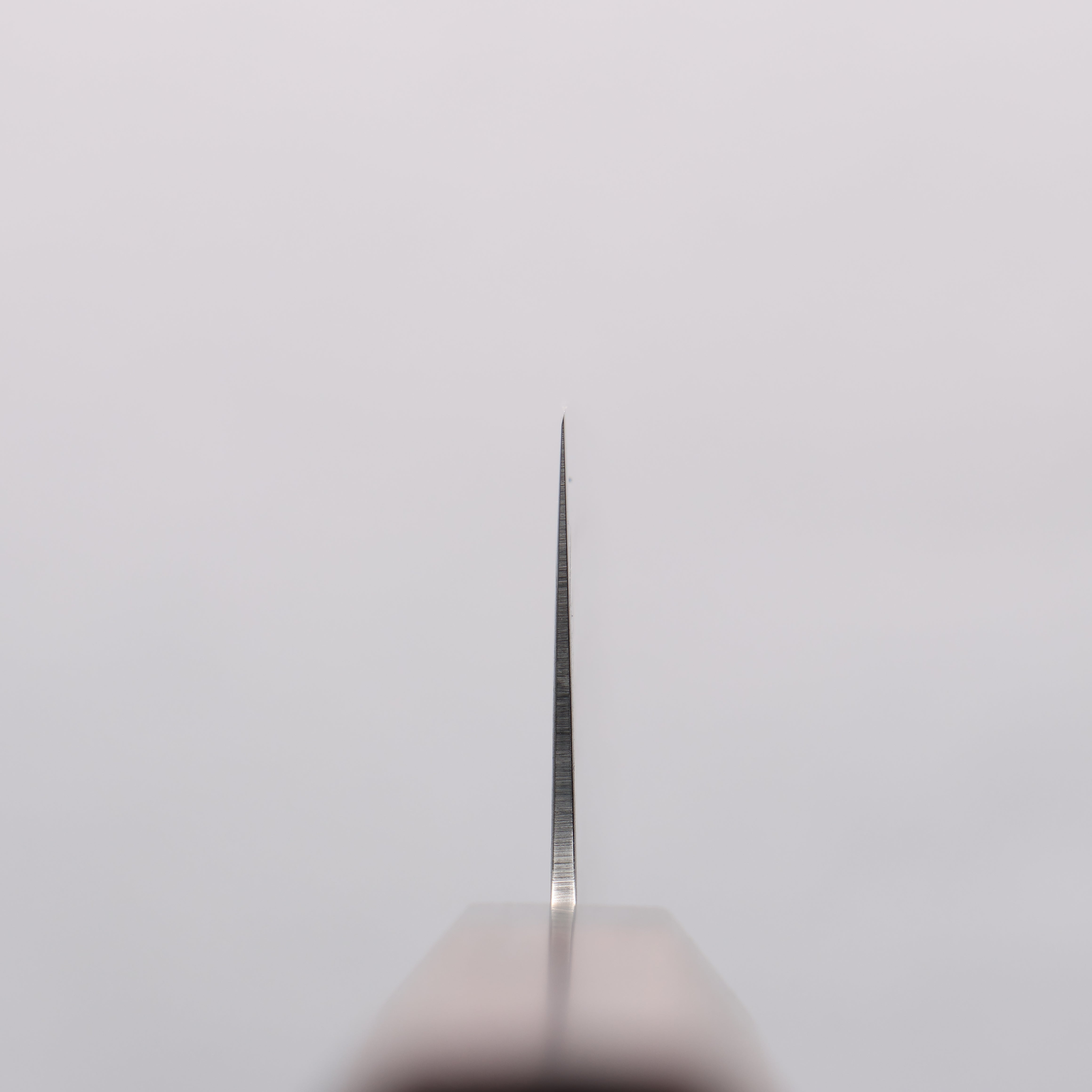 Seisuke AUS10 Mirror Crossed Usuba 160mm Shitan & Black Pakkawood Handle - Seisuke Knife