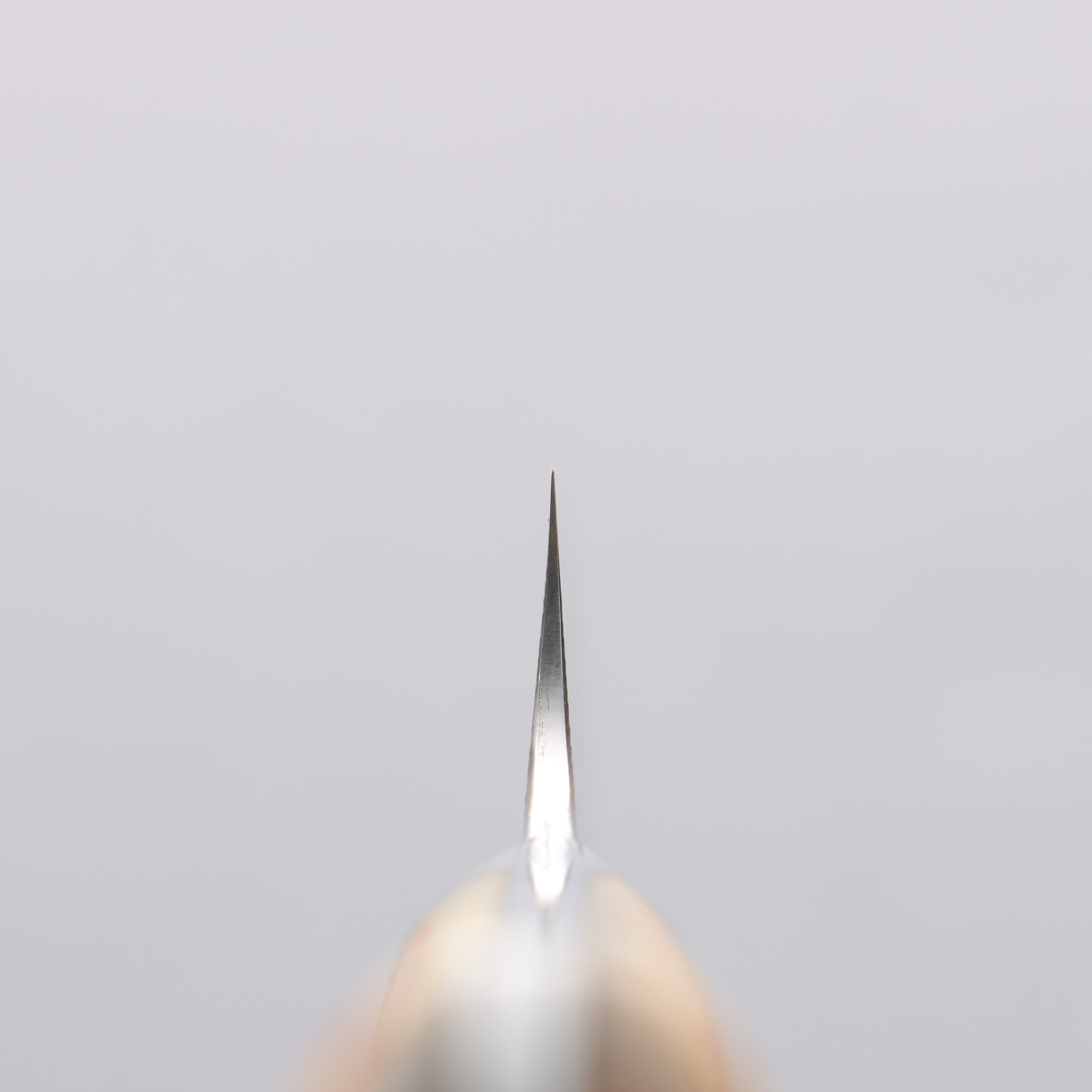 Takeshi Saji SG2 Diamond Finish Damascus Petty-Utility 130mm Orange Cow Bone Handle - Seisuke Knife