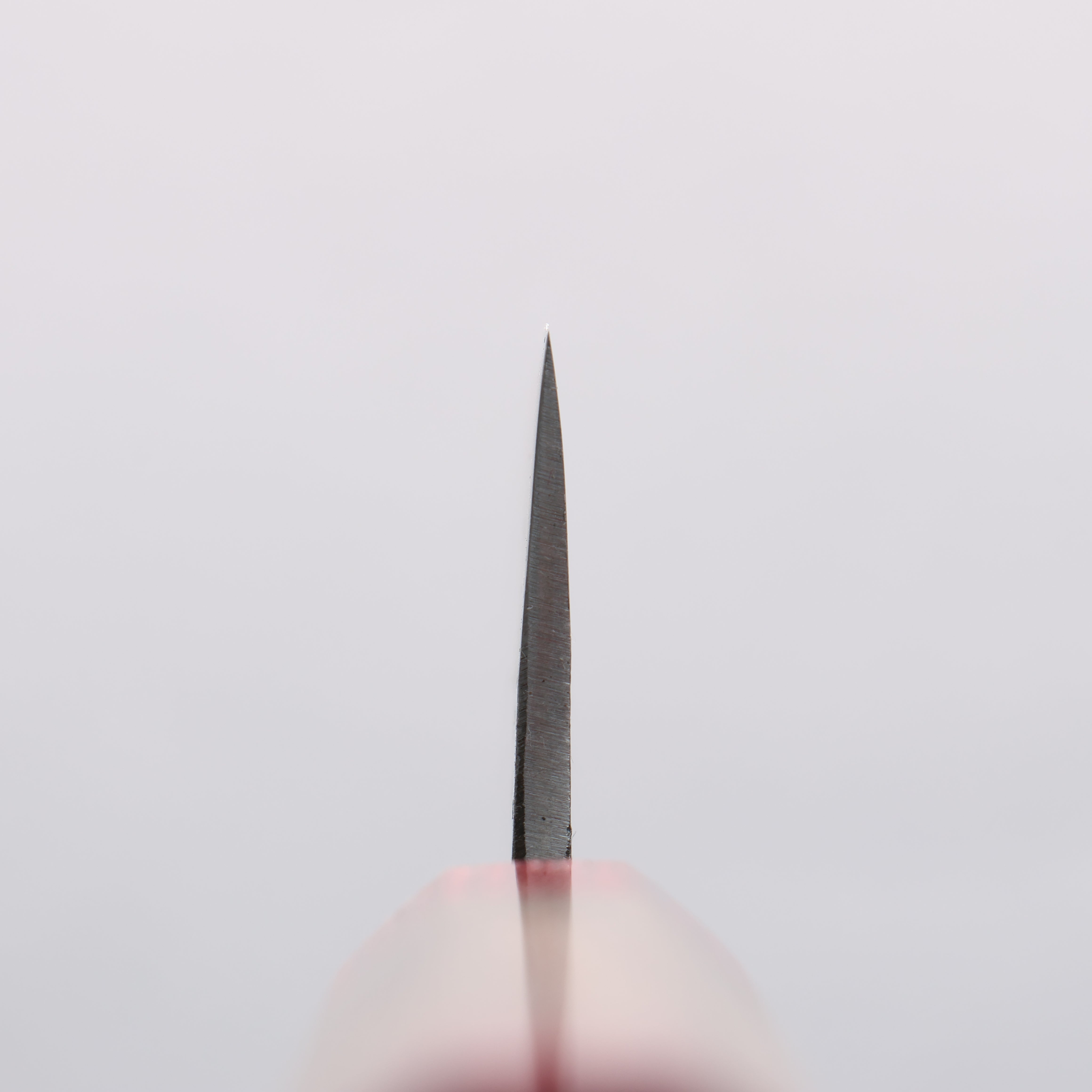 Seisuke Kurumi Blue Steel Kurouchi Bunka 180mm Walnut & Double Red Pakkawood Handle - Seisuke Knife