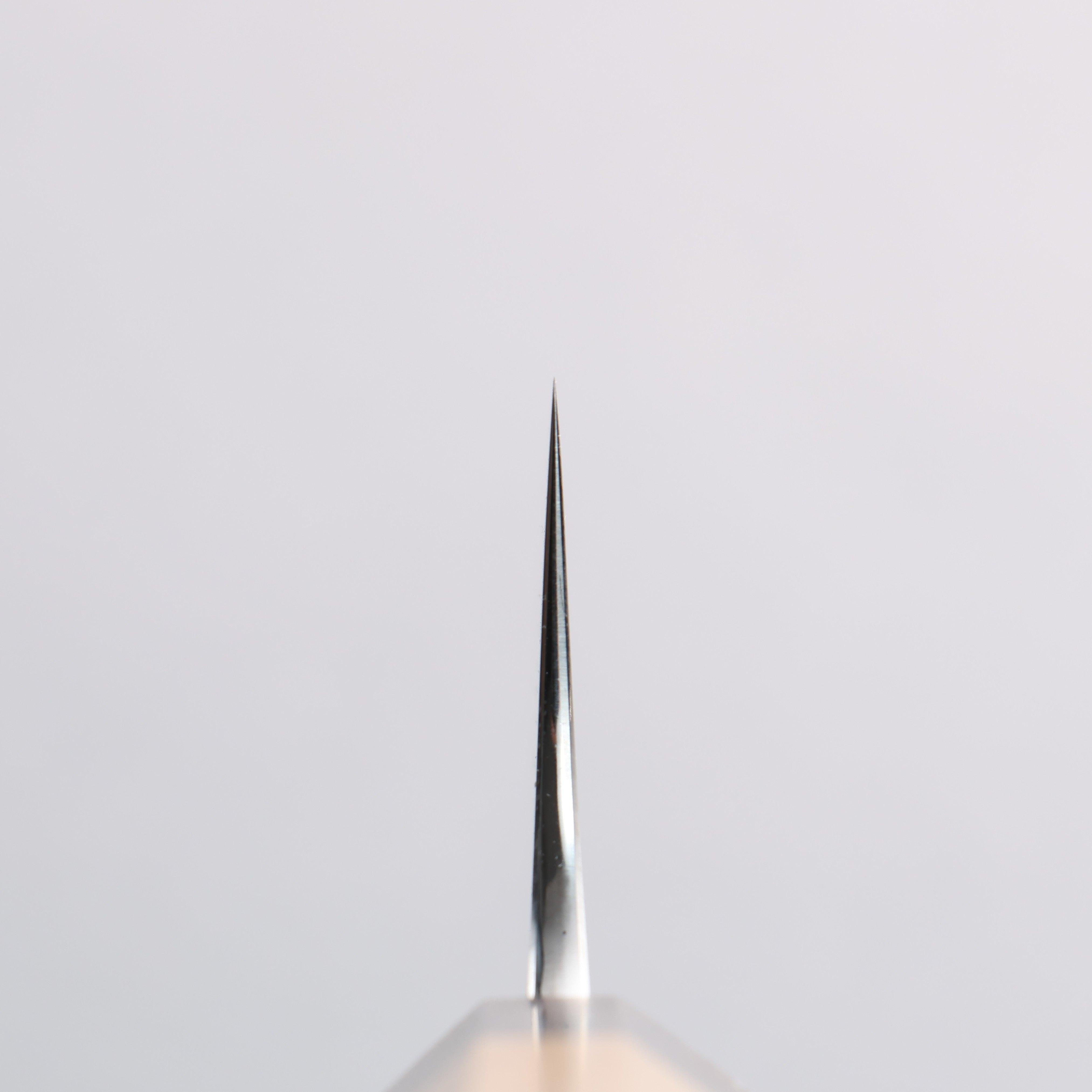 Anryu VG10 Migaki Finished Damascus Gyuto 210mm Keyaki Elm Handle - Seisuke Knife