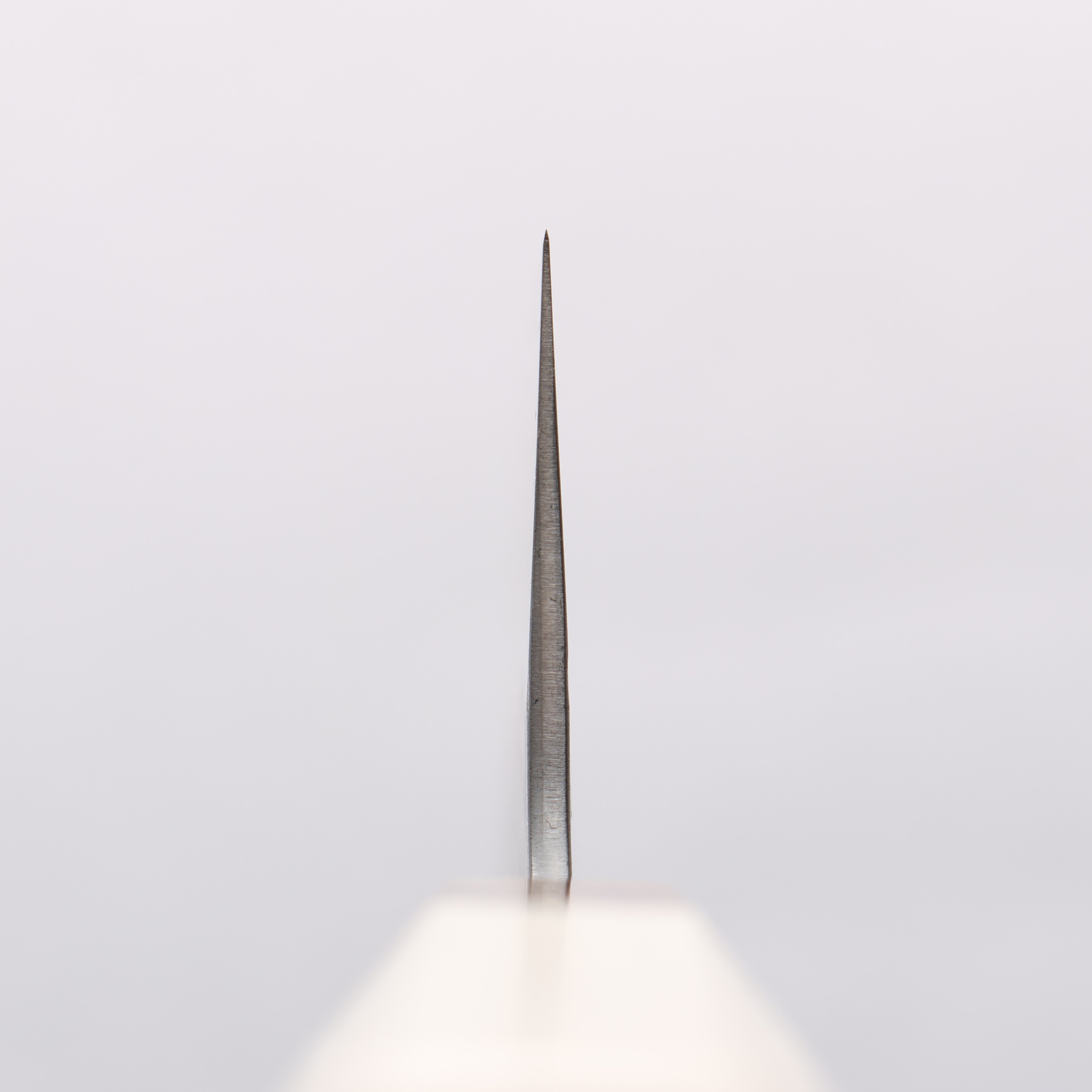 Seisuke Kumo White Steel No.1 Hammered Gyuto 240mm Magnolia Handle - Seisuke Knife