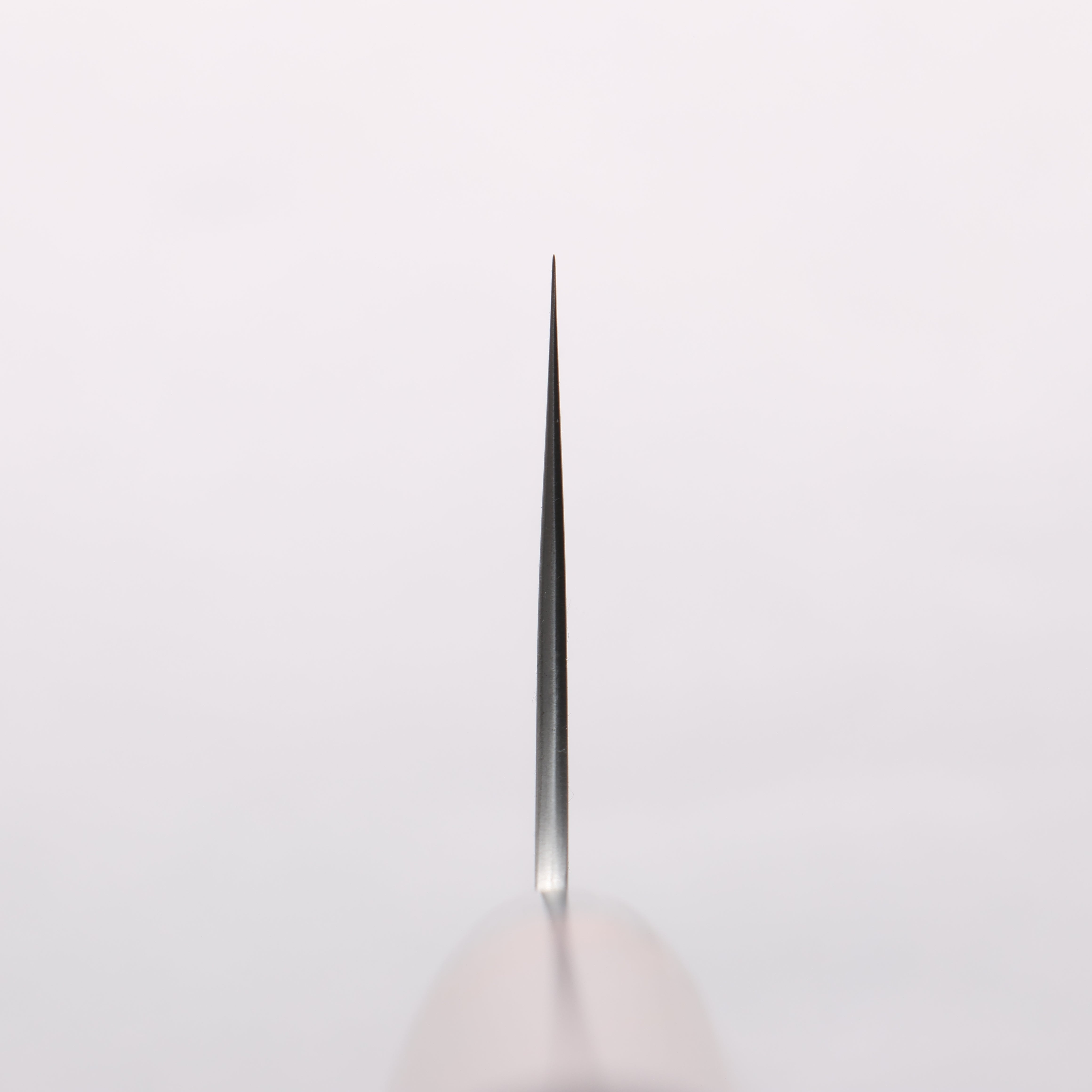 Shungo Ogata SG2 Migaki Finished Gyuto 240mm Shitan Handle - Seisuke Knife