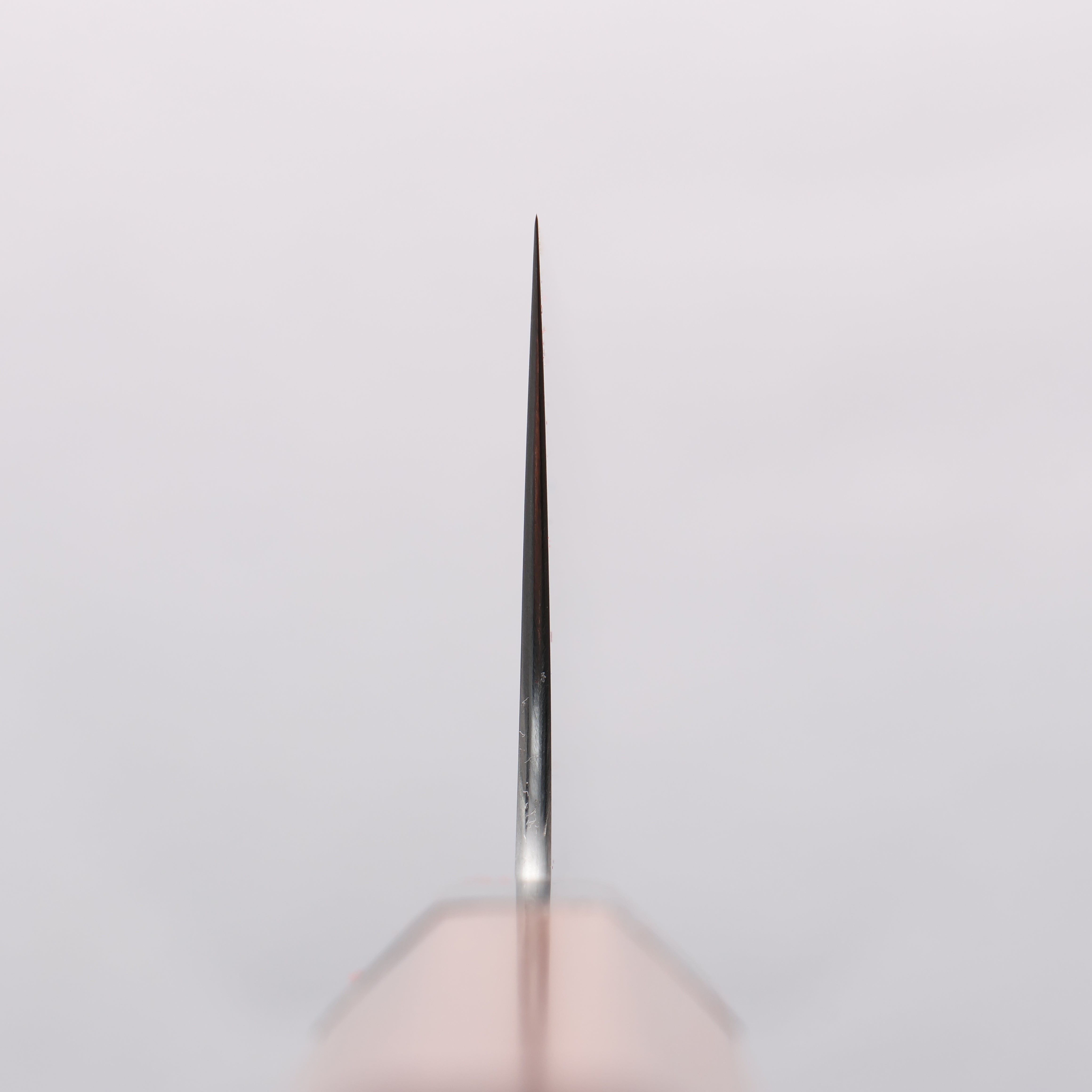 Shibata Takayuki Koutetsu SG2 Gyuto 240mm Jarrah Handle - Seisuke Knife