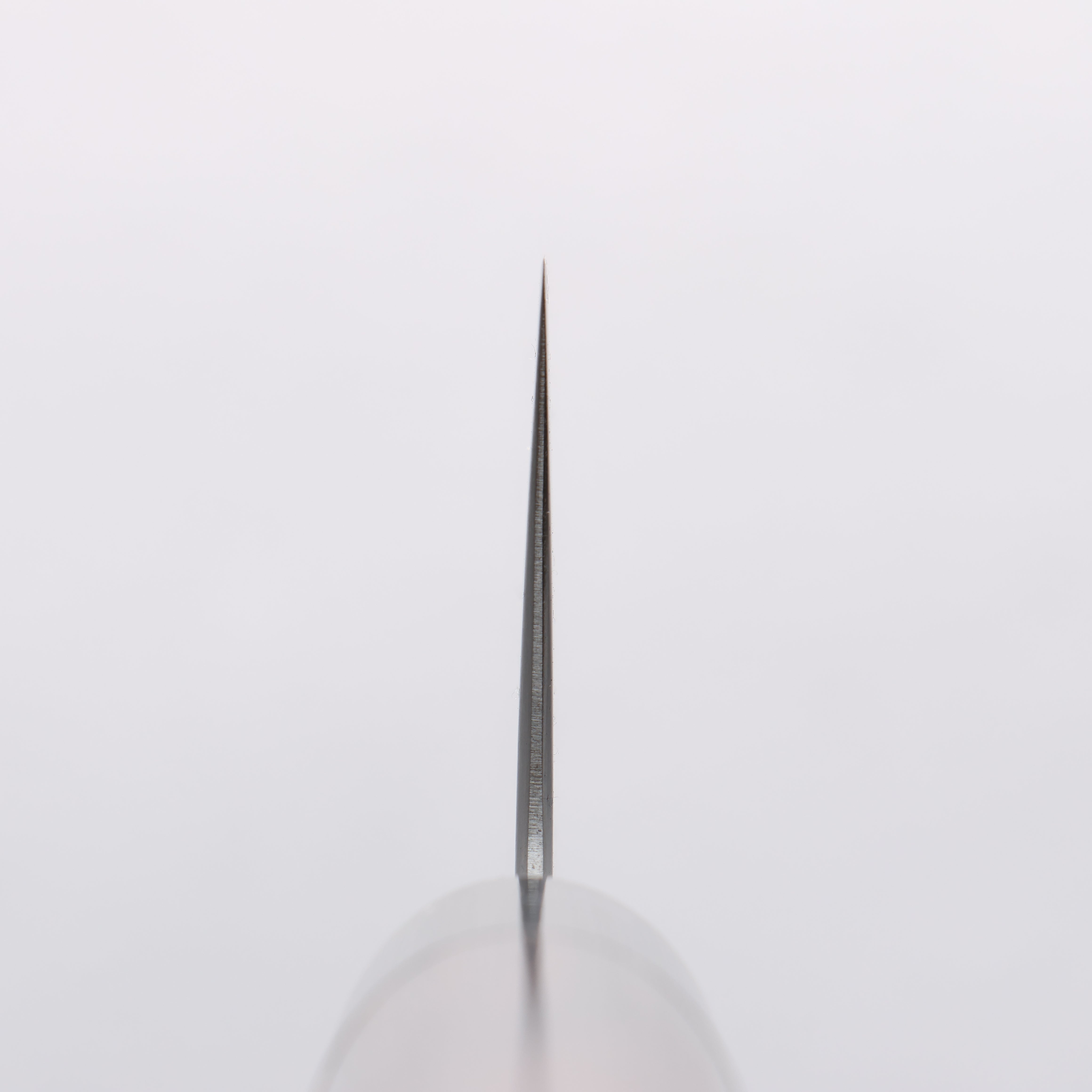 Seisuke Blue Super Gyuto 240mm Shitan Handle - Seisuke Knife