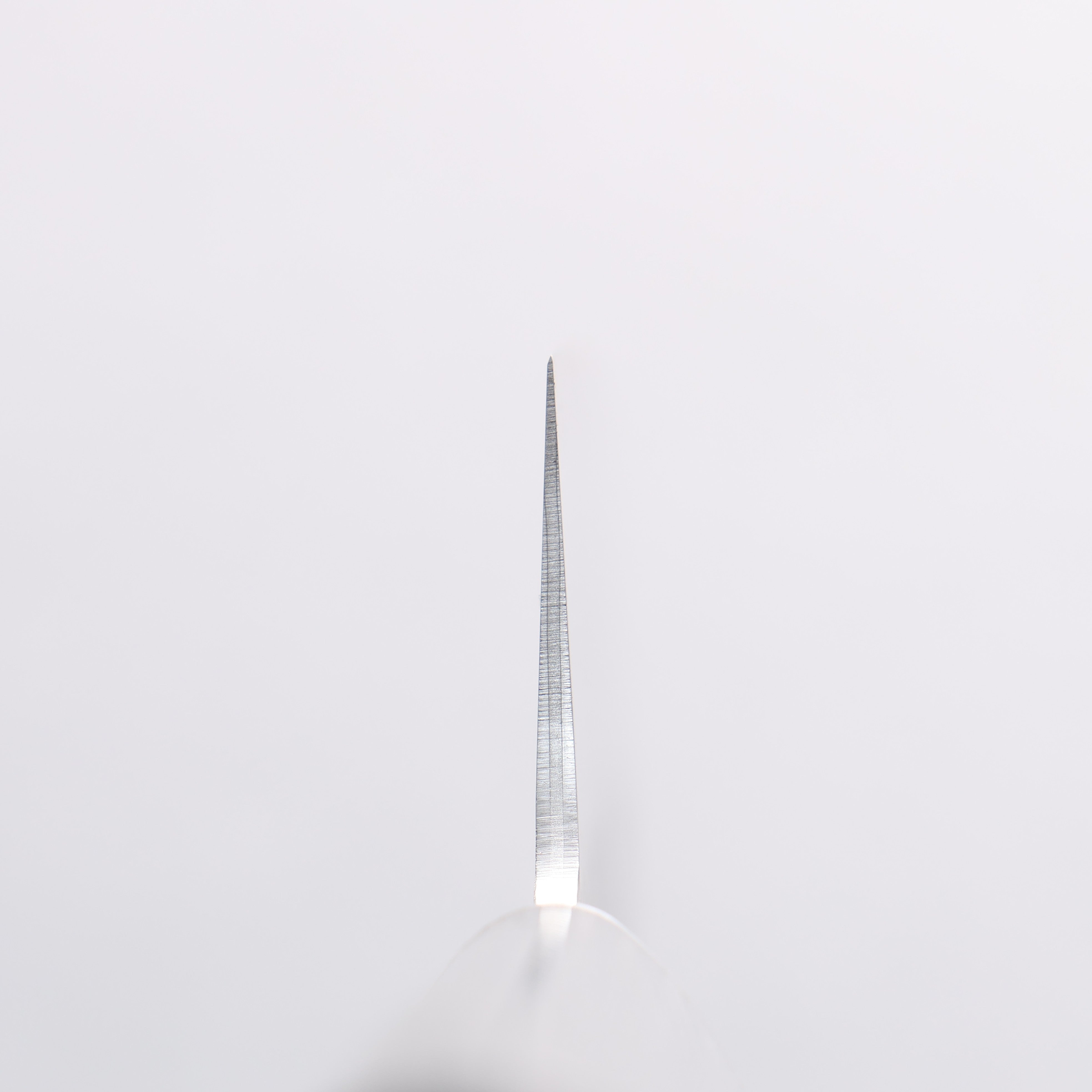 Seisuke VG10 Hammered Santoku 165mm Charcoal Gray Pakka wood Handle - Seisuke Knife