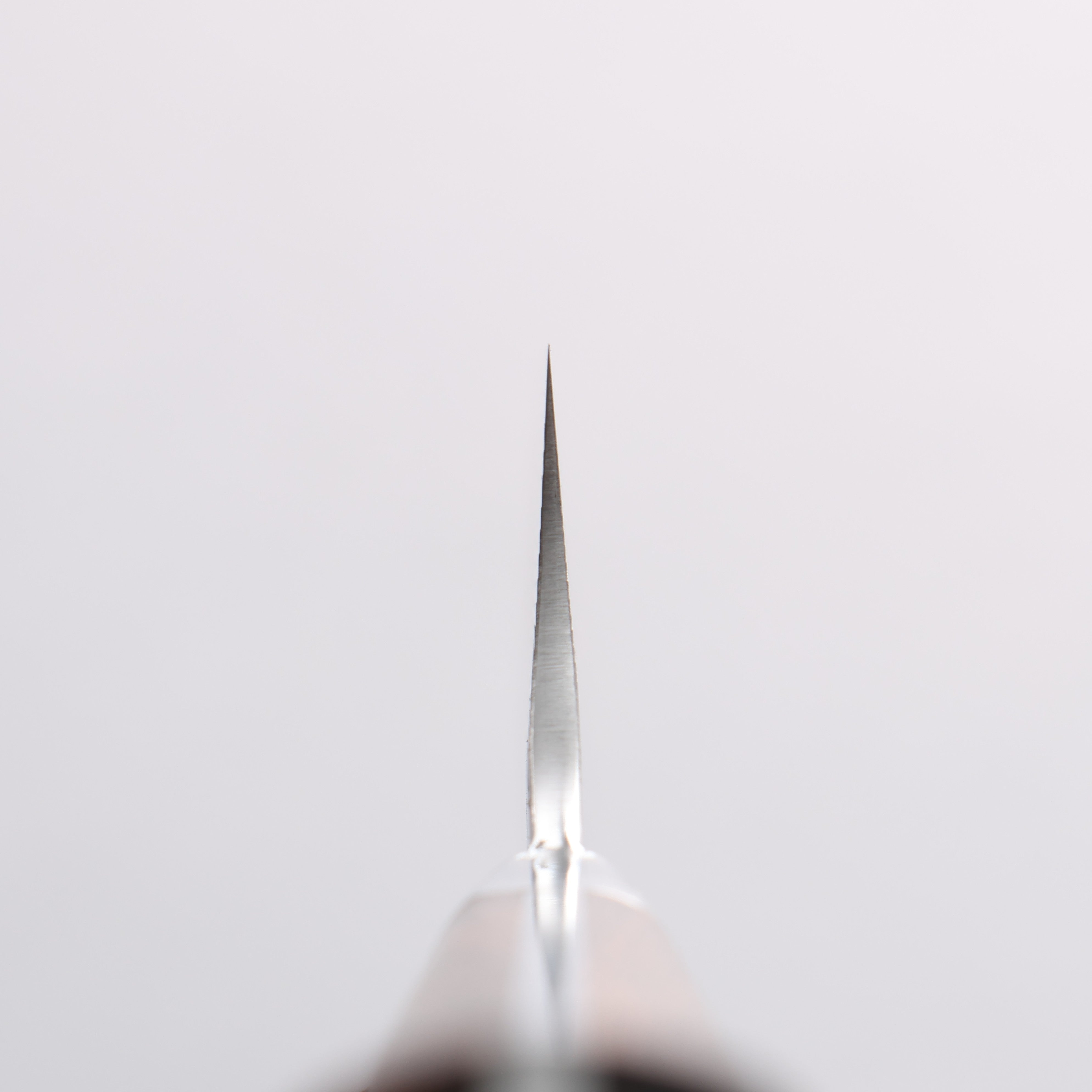 Takeshi Saji VG10 Hammered Damascus Cross Gyuto 180mm Ironwood Handle - Seisuke Knife