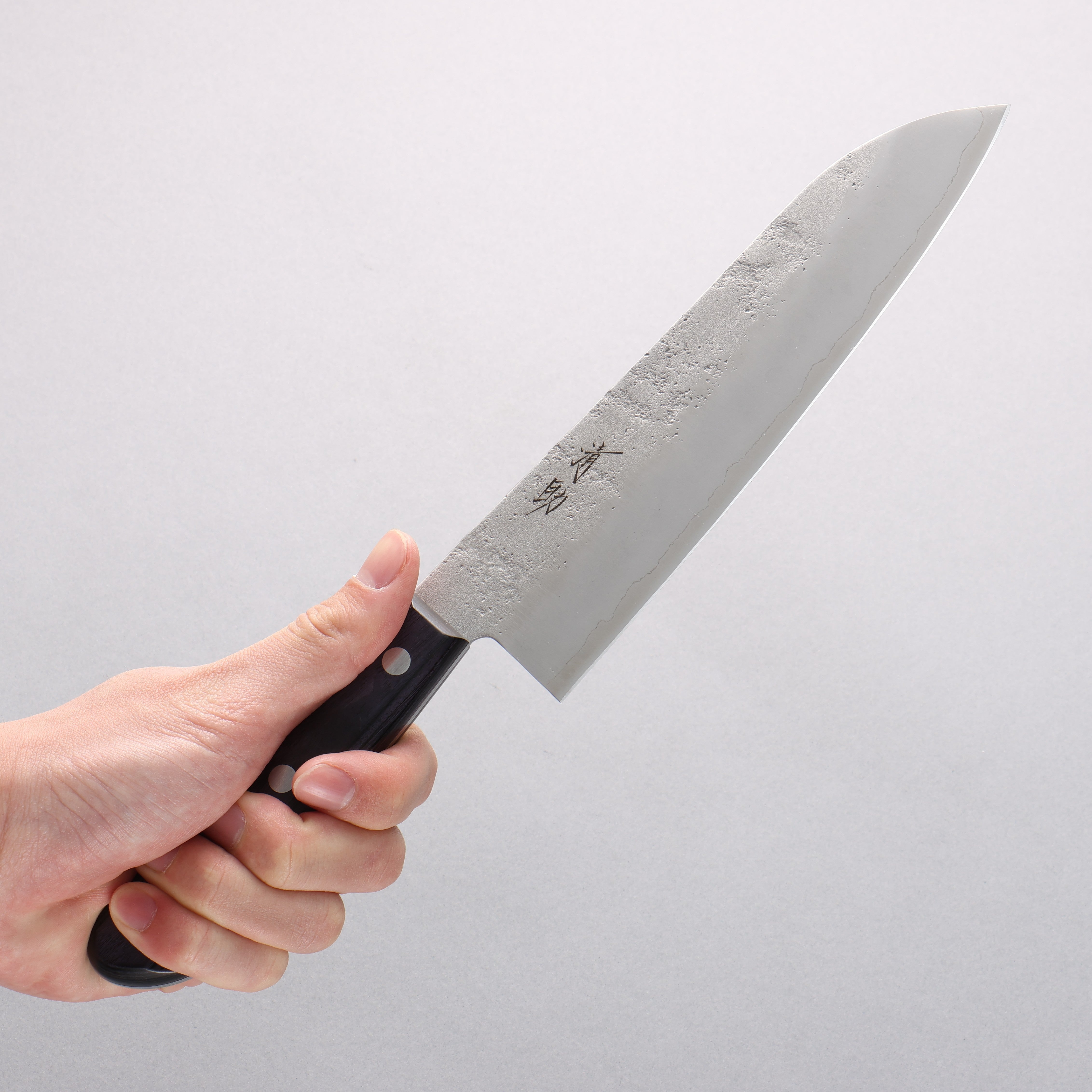 Seisuke Budou Silver Steel No.3 Nashiji Santoku 180mm Purple Pakkawood Handle - Seisuke Knife