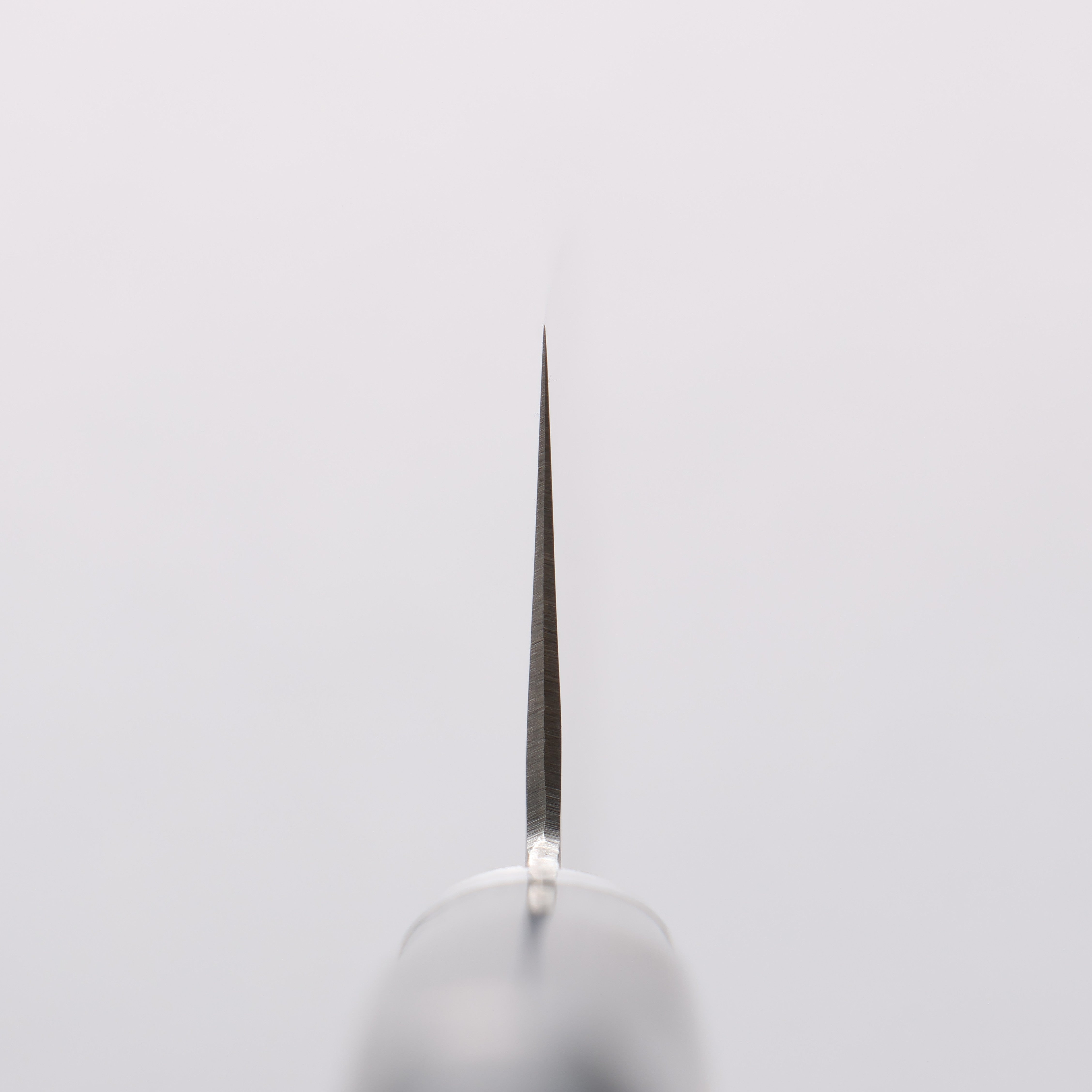 Kunihira VG1 Hammered Usuba 165mm Navy Blue Pakkawood Handle - Seisuke Knife