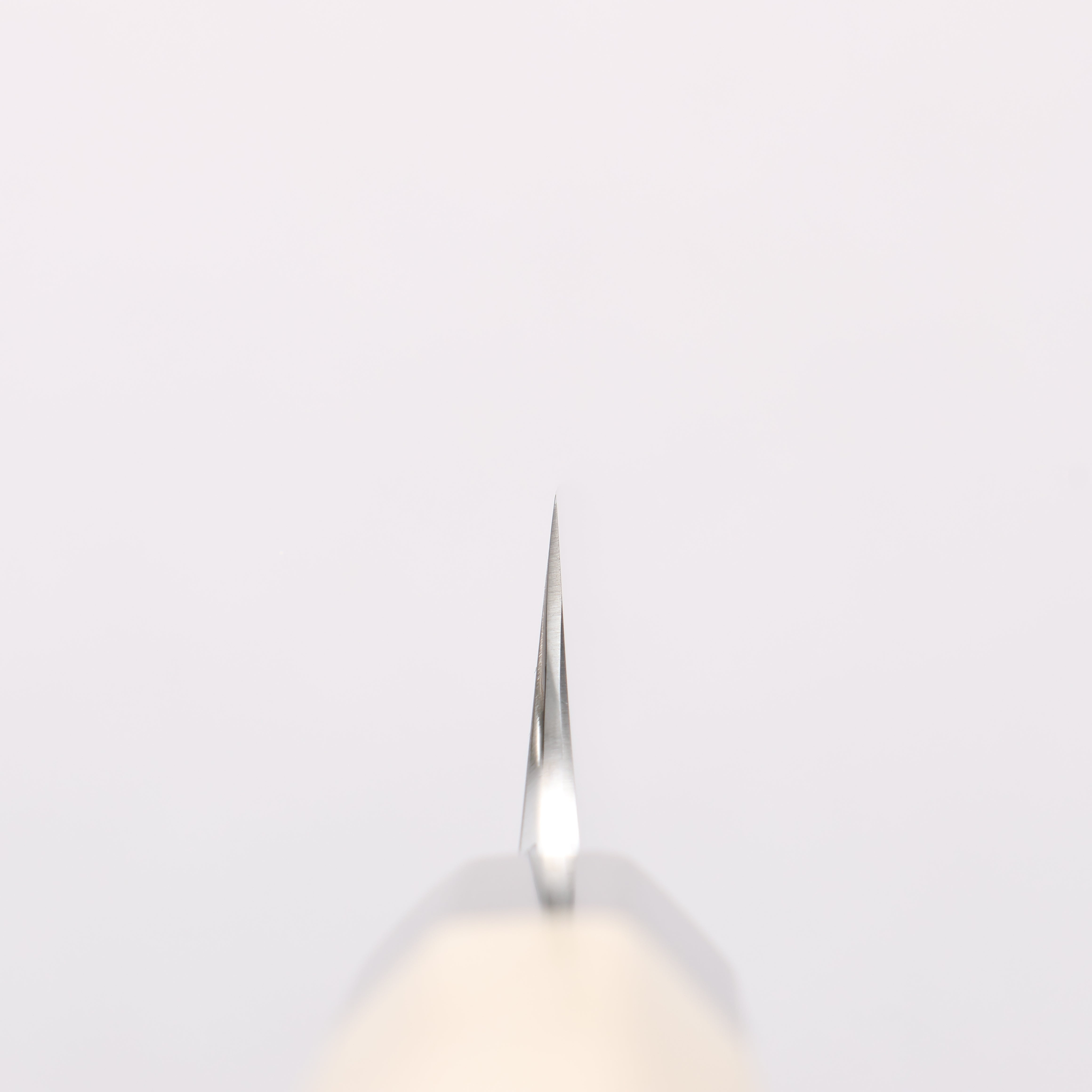 Choyo Silver Steel No.3 Mirrored Finish Kengata Yanagiba 270mm Magnolia Handle - Seisuke Knife