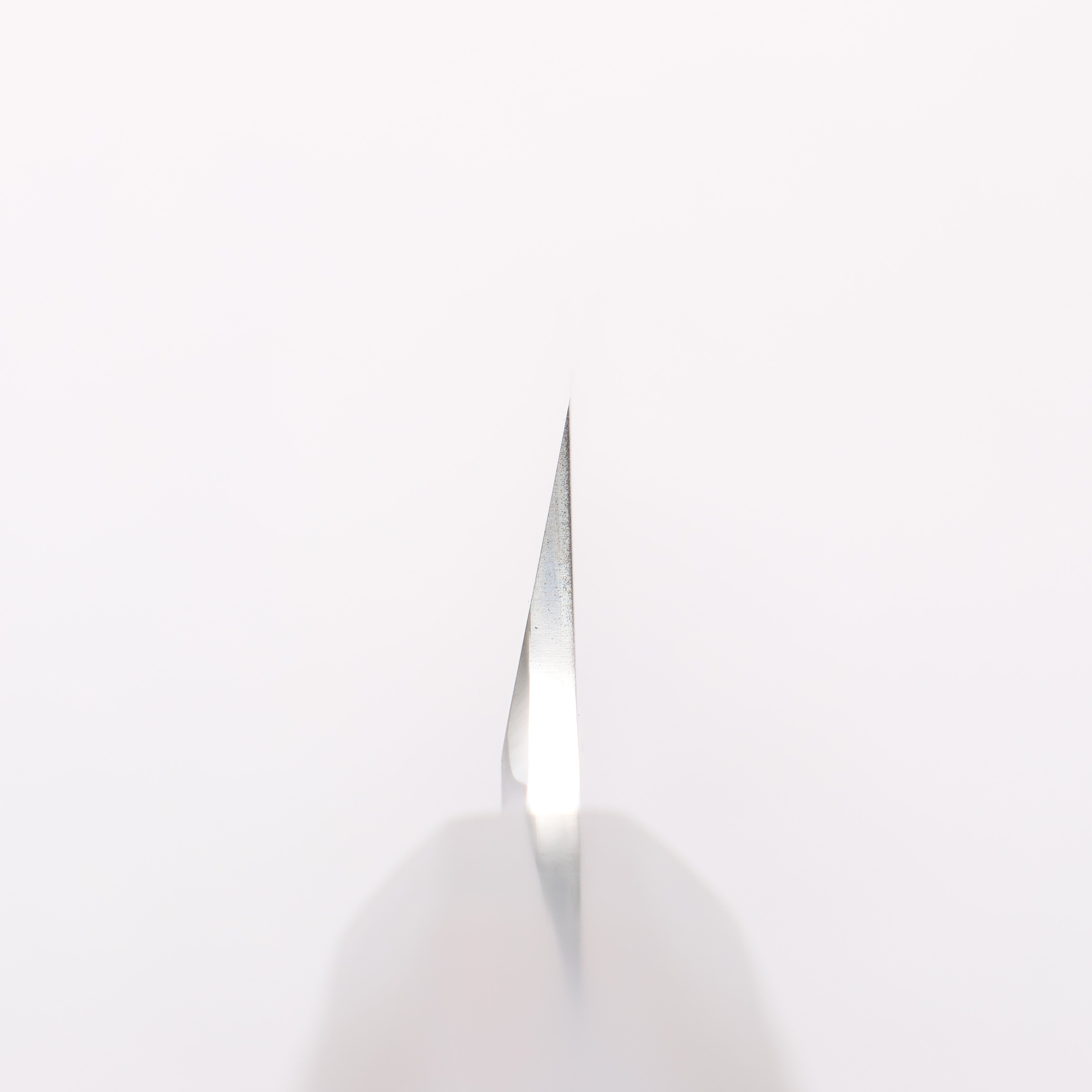 Sakai Takayuki Chef Series Hien Silver Steel No.3 Kengata Yanagiba 300mm Ebony Wood Handle - Seisuke Knife