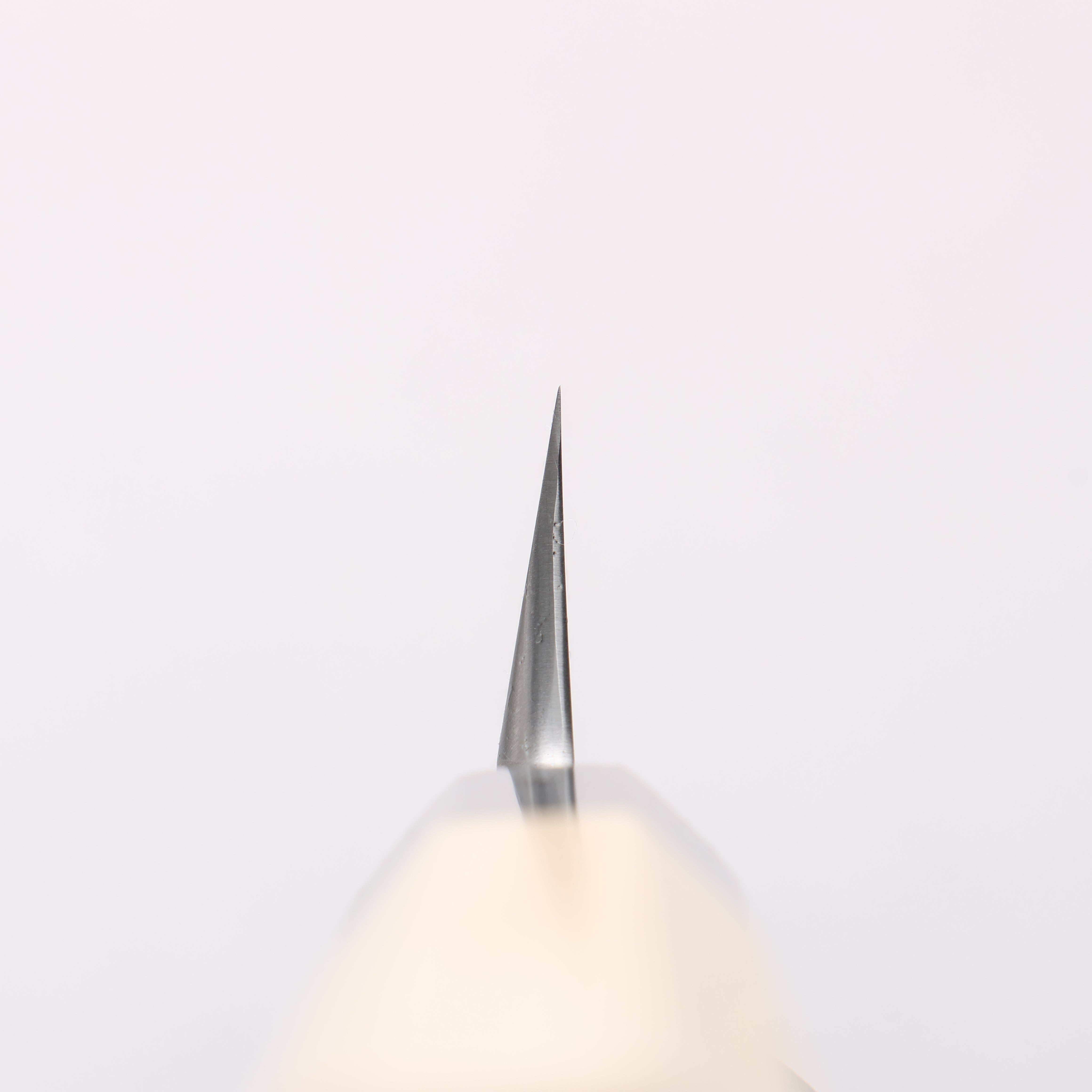 Kikuzuki White Steel No.2 Nashiji Kiritsuke Yanagiba 300mm Magnolia Handle - Seisuke Knife