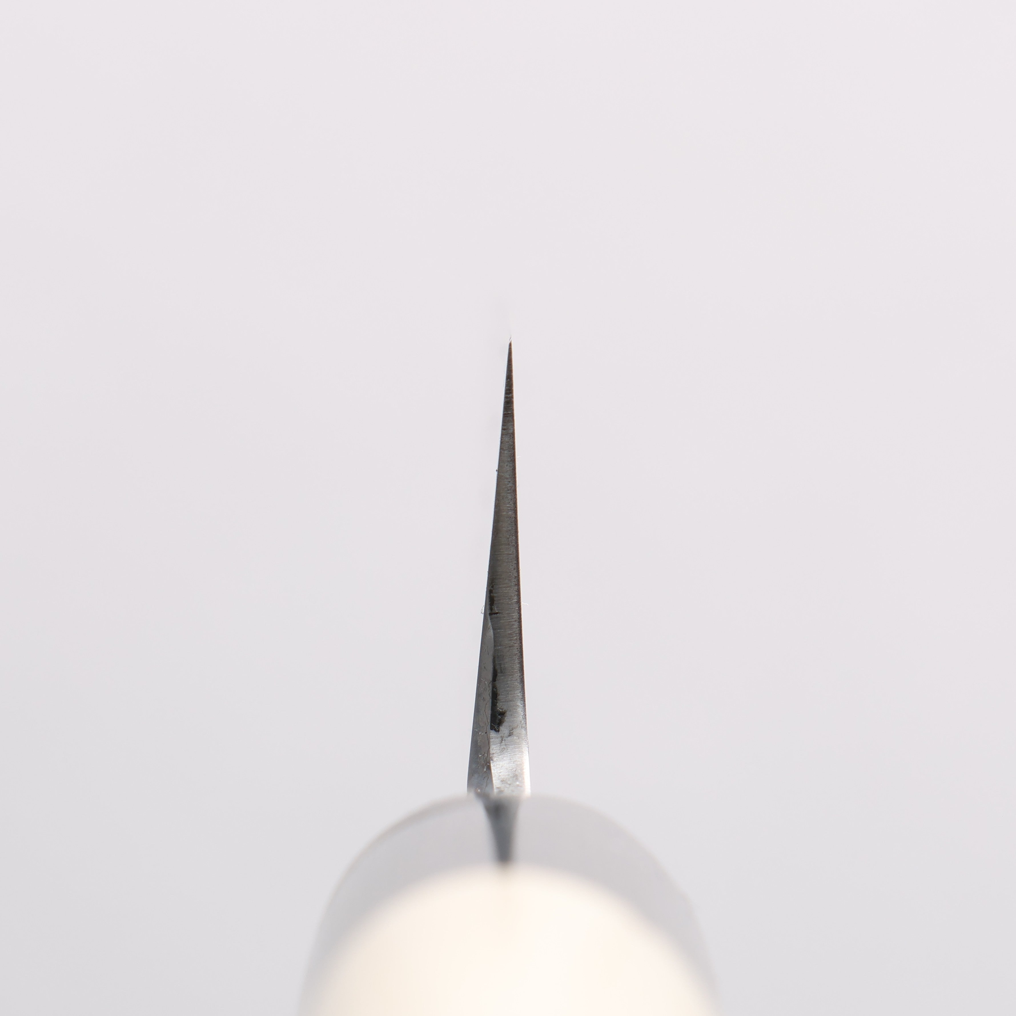 Sakai Takayuki Tokujyo White Steel No.2 Petty-Utility 180mm Magnolia Handle - Seisuke Knife