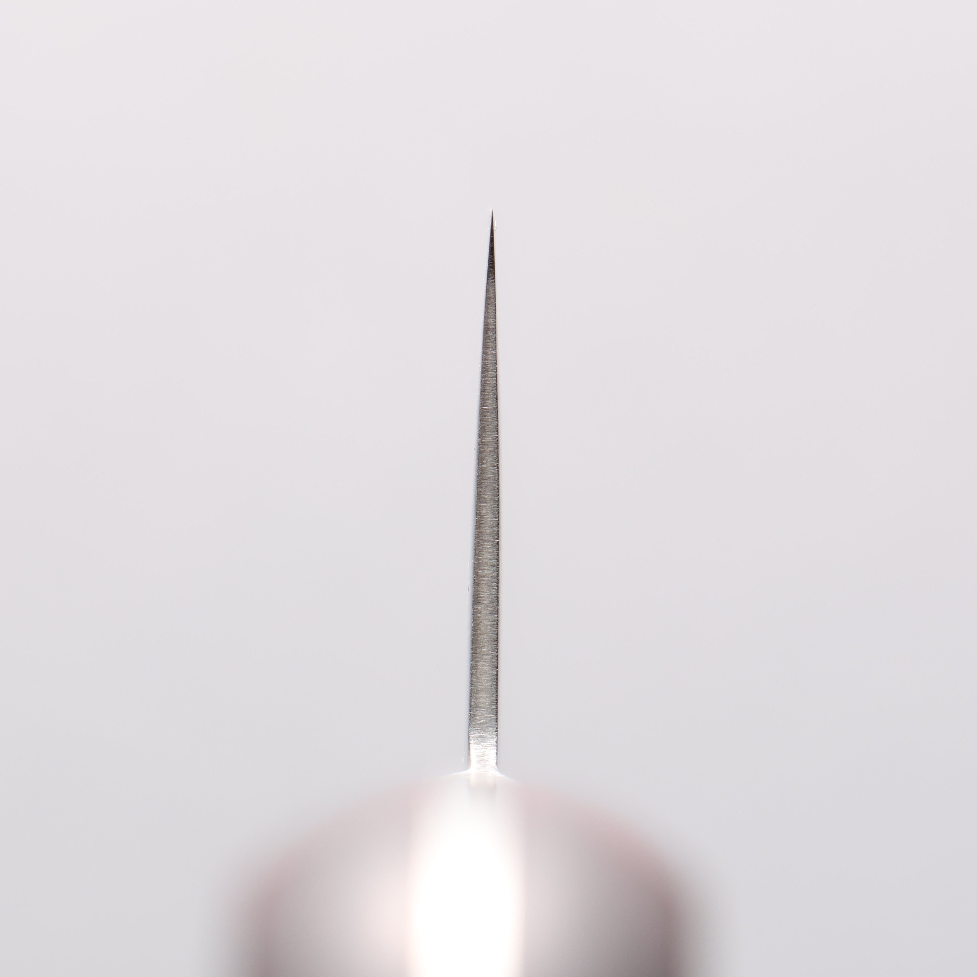 Seisuke VG10 33 Layer Mirrored Finish Damascus Gyuto 210mm Red Pakka wood Handle - Seisuke Knife