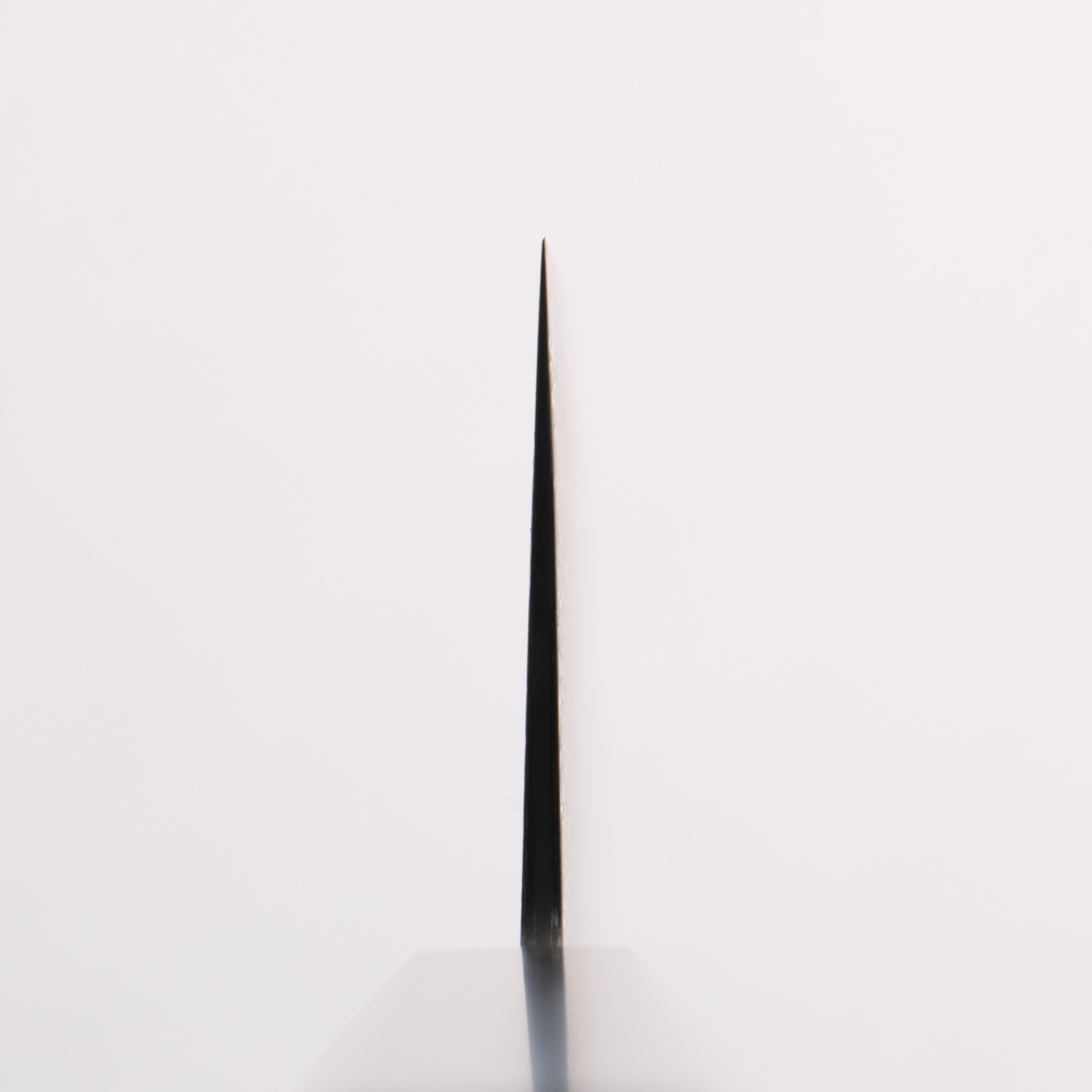 Seisuke SG2 Black Damascus Migaki Gyuto 240mm Ebony Wood Handle - Seisuke Knife