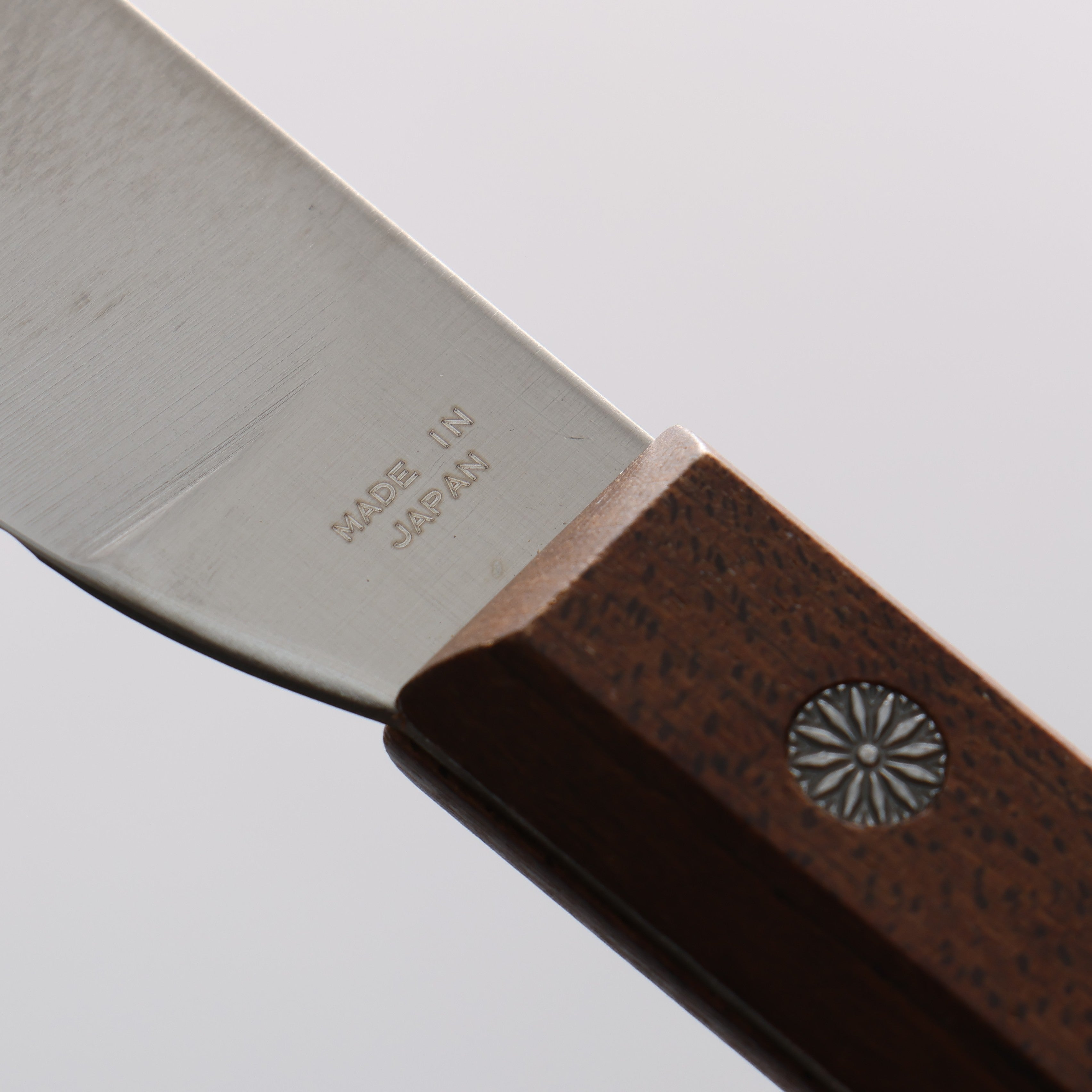 Kanetsune AUS8 Spread Knife 110mm Maple Handle - Seisuke Knife