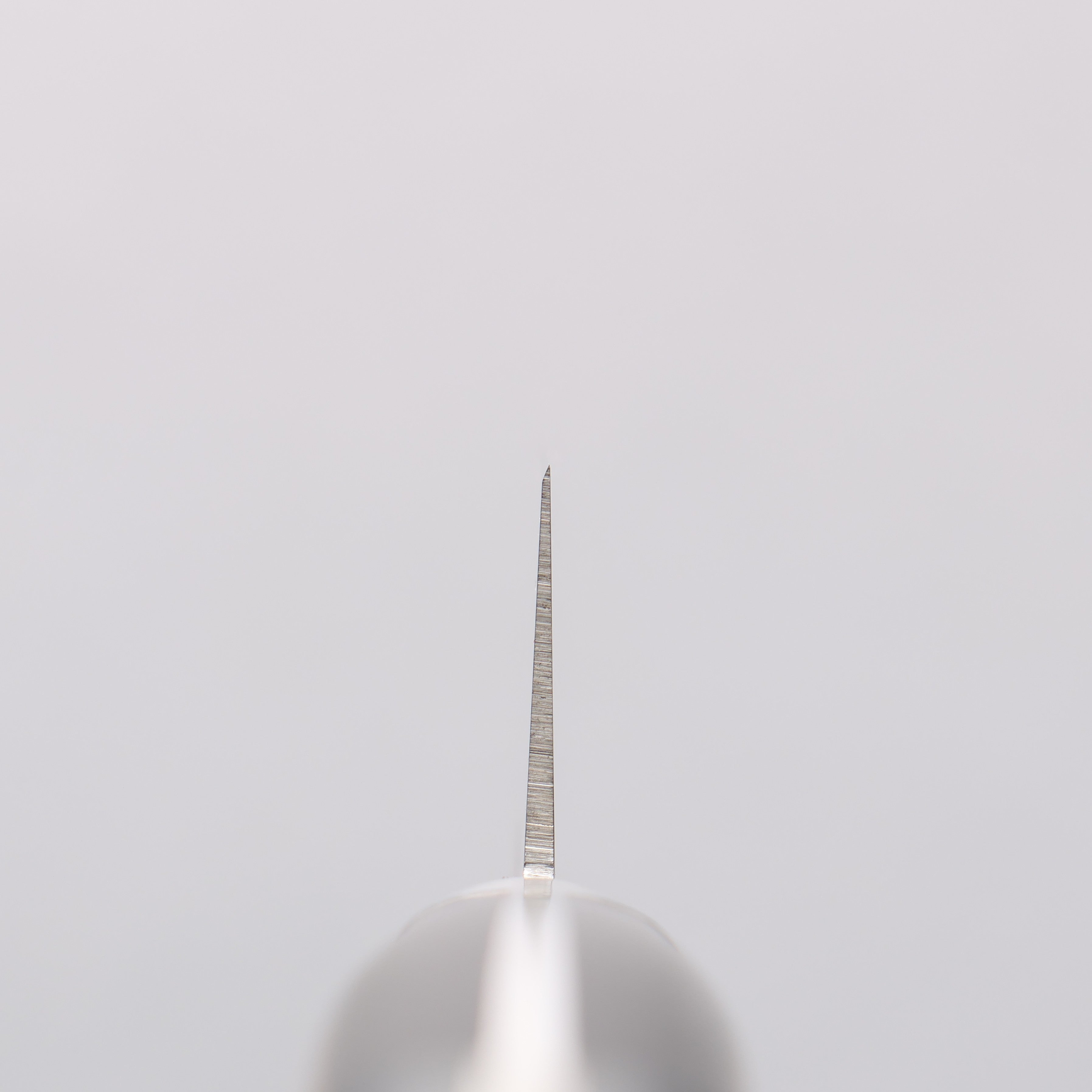 Sakai Takayuki TUS Petty Utility 150mm - Seisuke Knife