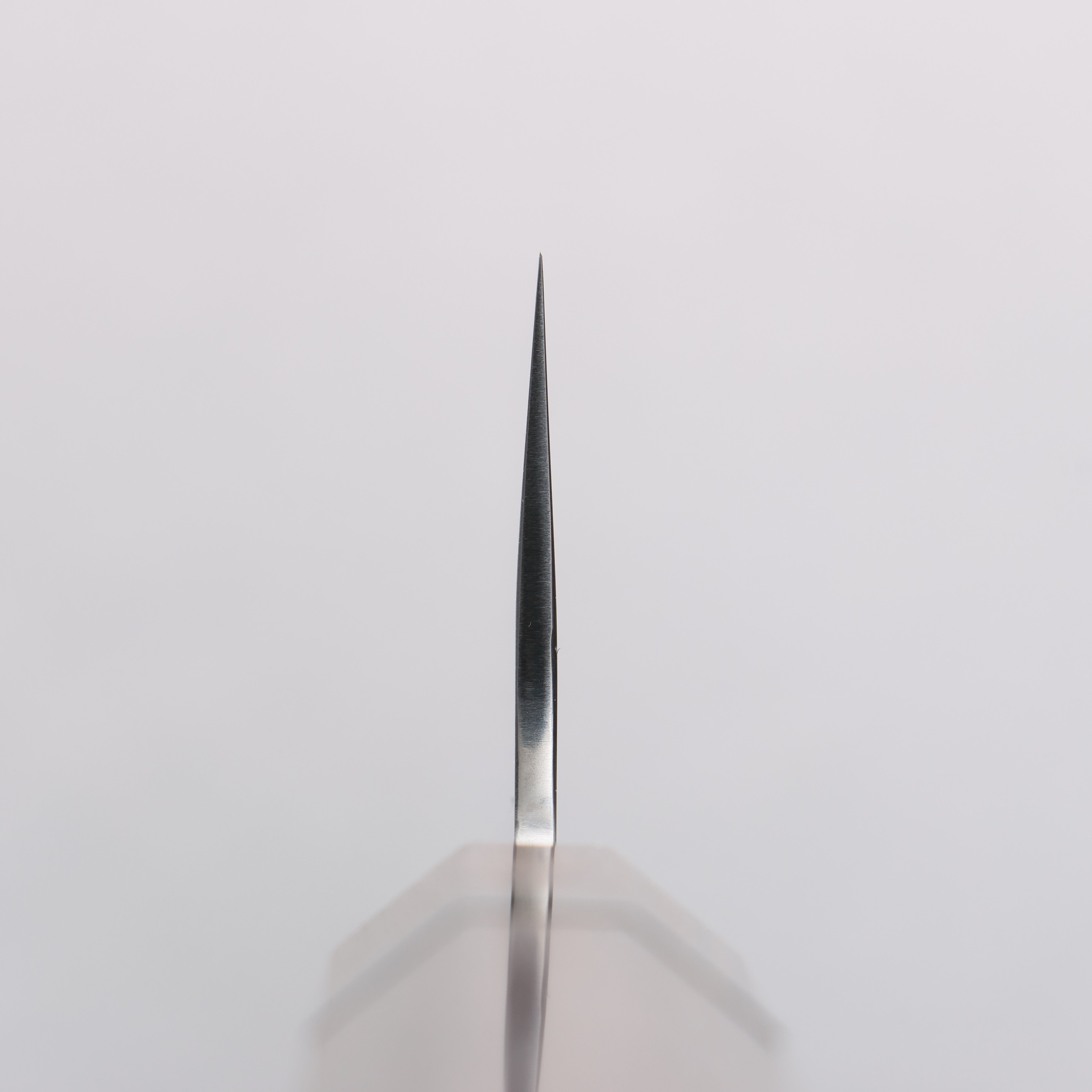 Makoto Kurosaki Coreless Gyuto 210mm Ebony Wood (With Black Turquoise Ring) Handle VG2/VG10 - Seisuke Knife
