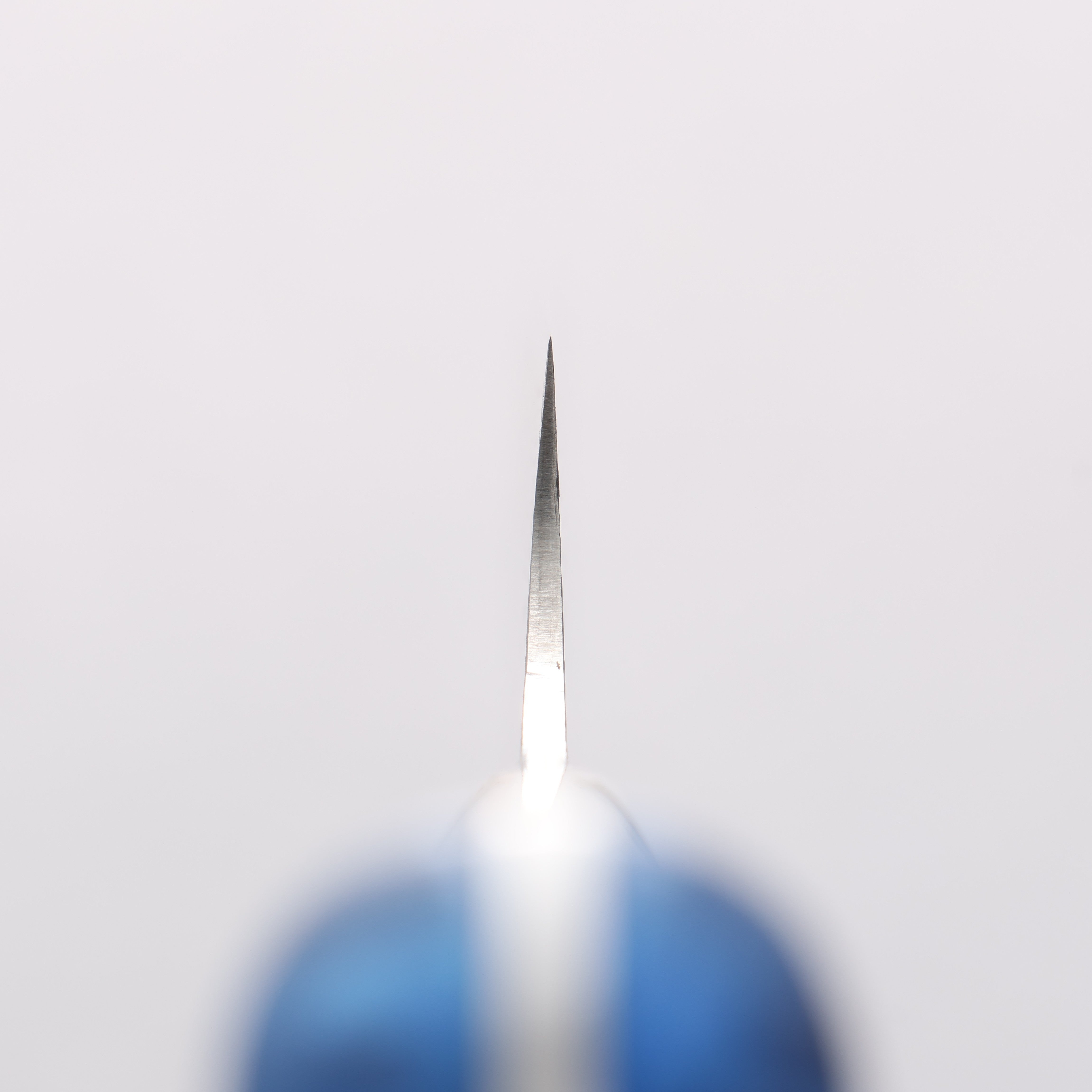 Takeshi Saji SG2 Diamond Finish Damascus Sakimaru Sujihiki 240mm Pine Cone and Blue Acrylic Handle - Seisuke Knife
