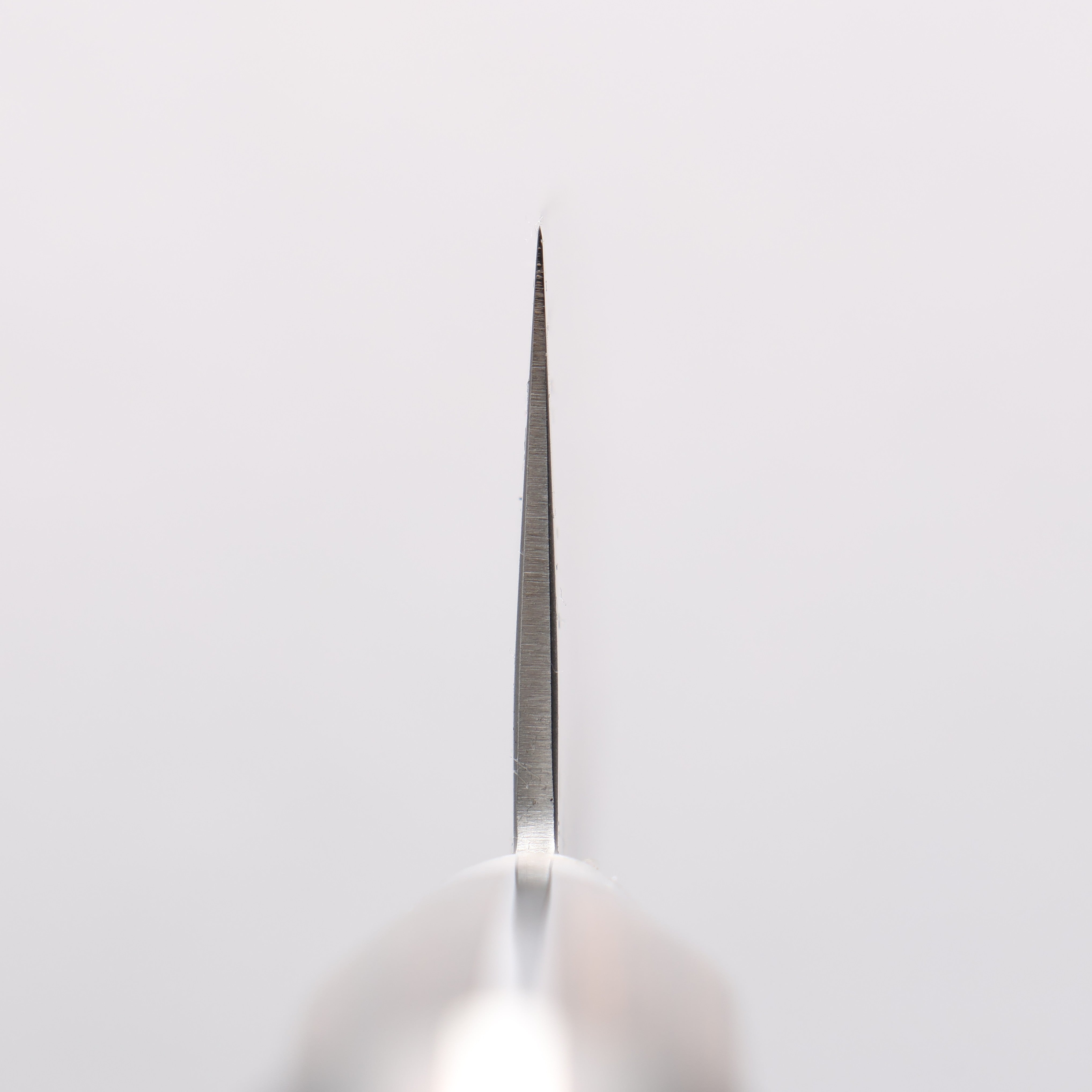 Seisuke Silver Steel No.3 Nashiji Gyuto 210mm Brown Pakka wood Handle - Seisuke Knife