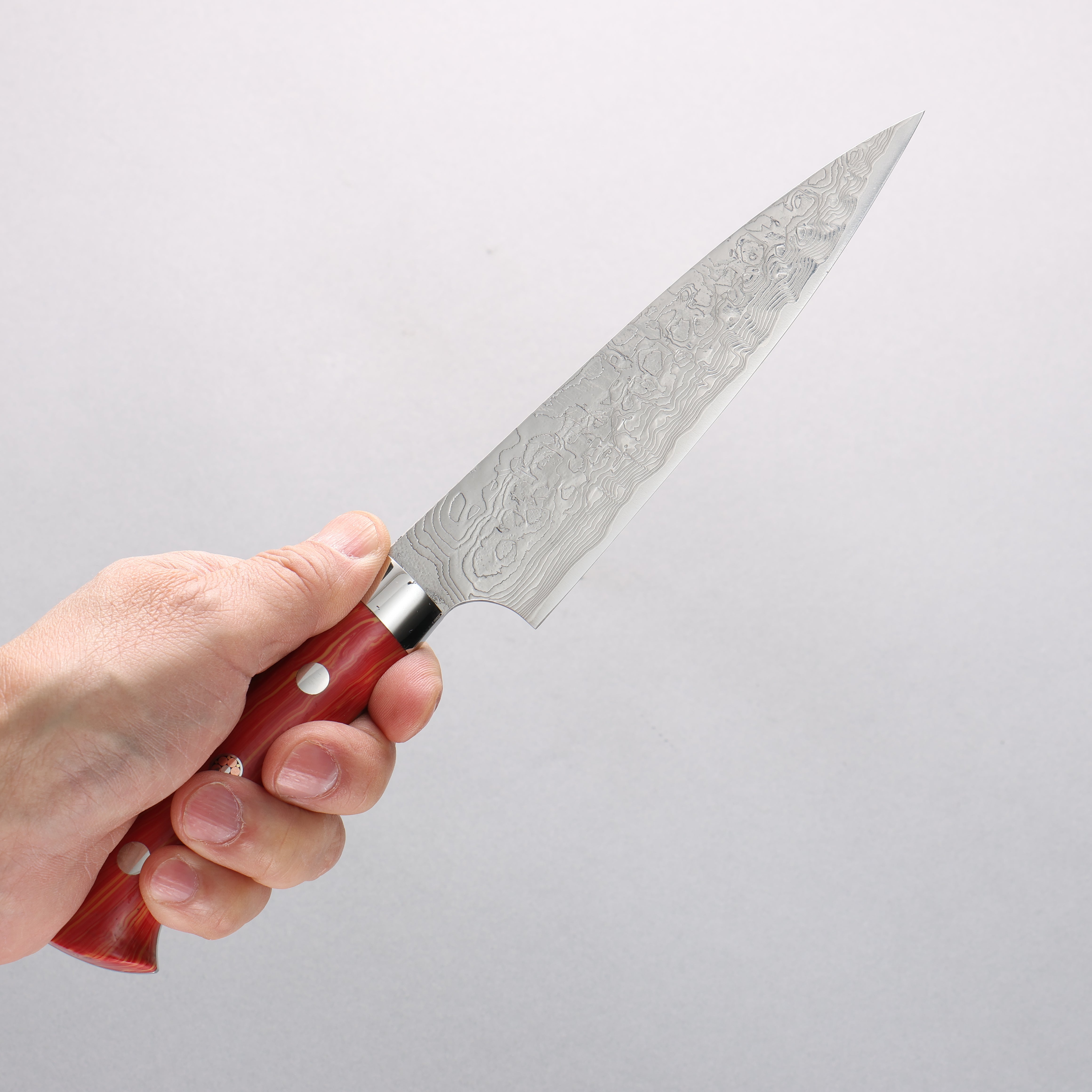 Takeshi Saji SG2 Diamond Finish Damascus Petty-Utility 150mm Red Turquoise Handle - Seisuke Knife