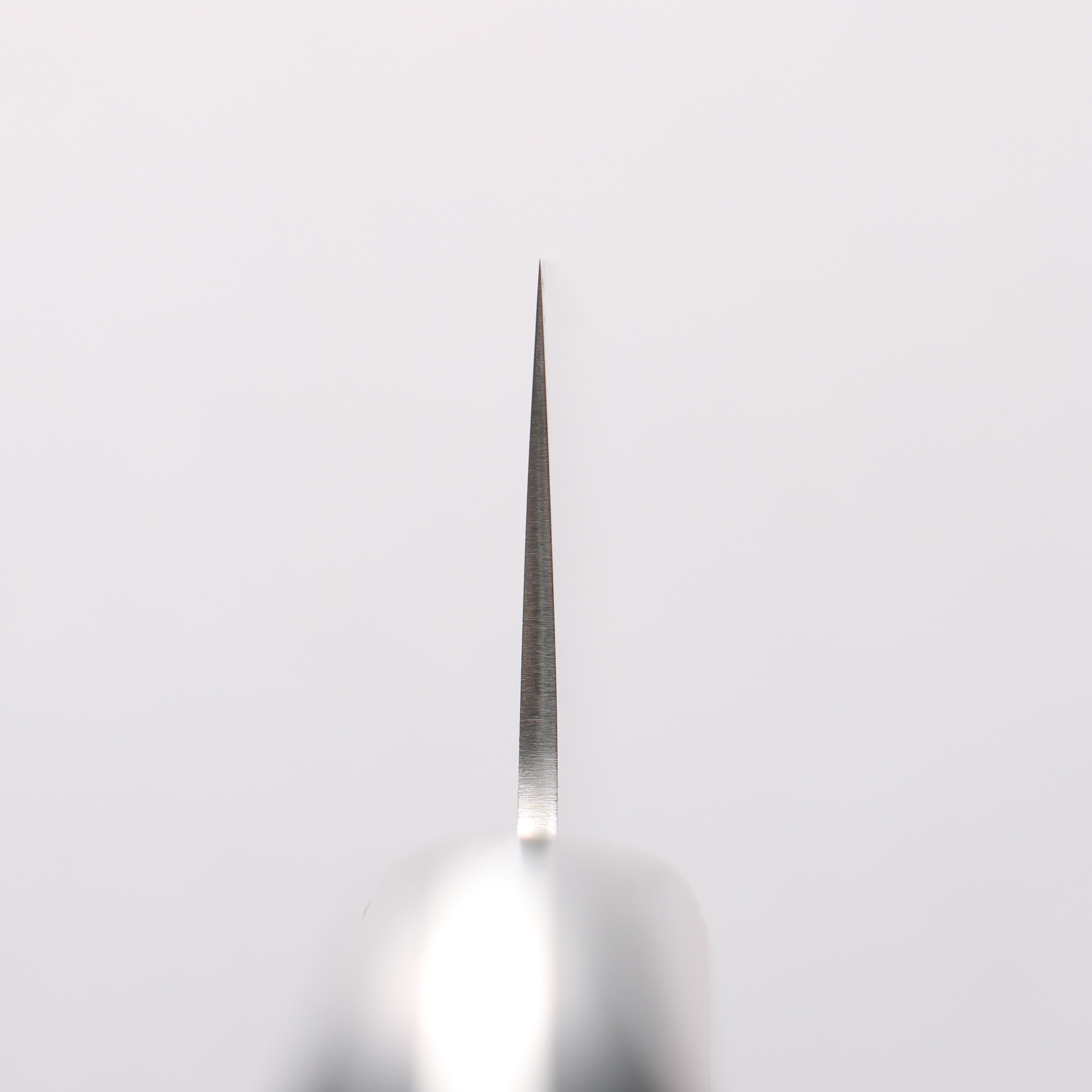 Seisuke SLD Migaki Polish Finish Gyuto 210mm Red Pakkawood Handle - Seisuke Knife