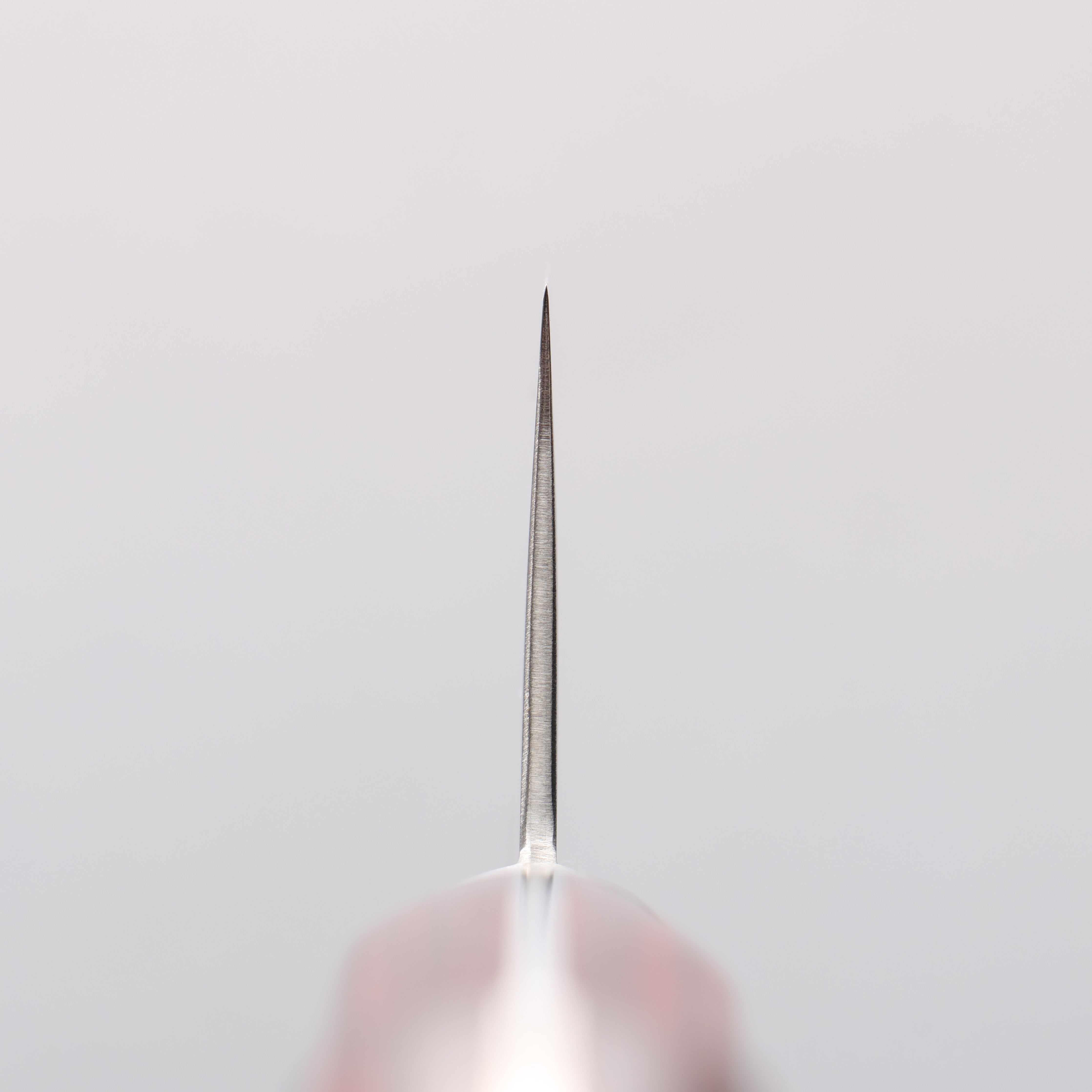 Seisuke VG10 33 Layer Mirrored Finish Damascus Gyuto 240mm Red Pakka wood Handle - Seisuke Knife