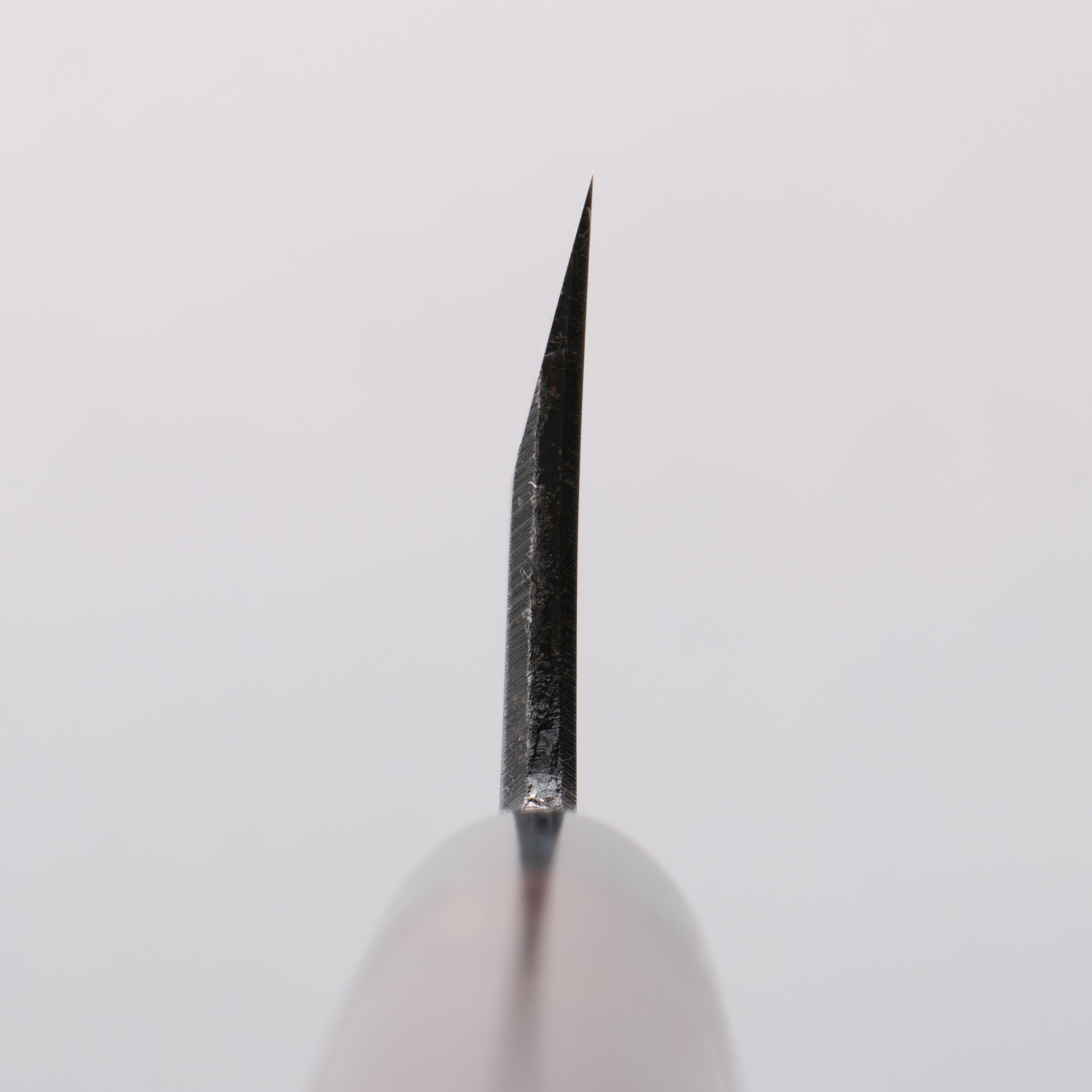 Seisuke Blue Steel Kasumitogi Funayuki 180mm Rosewood Handle - Seisuke Knife