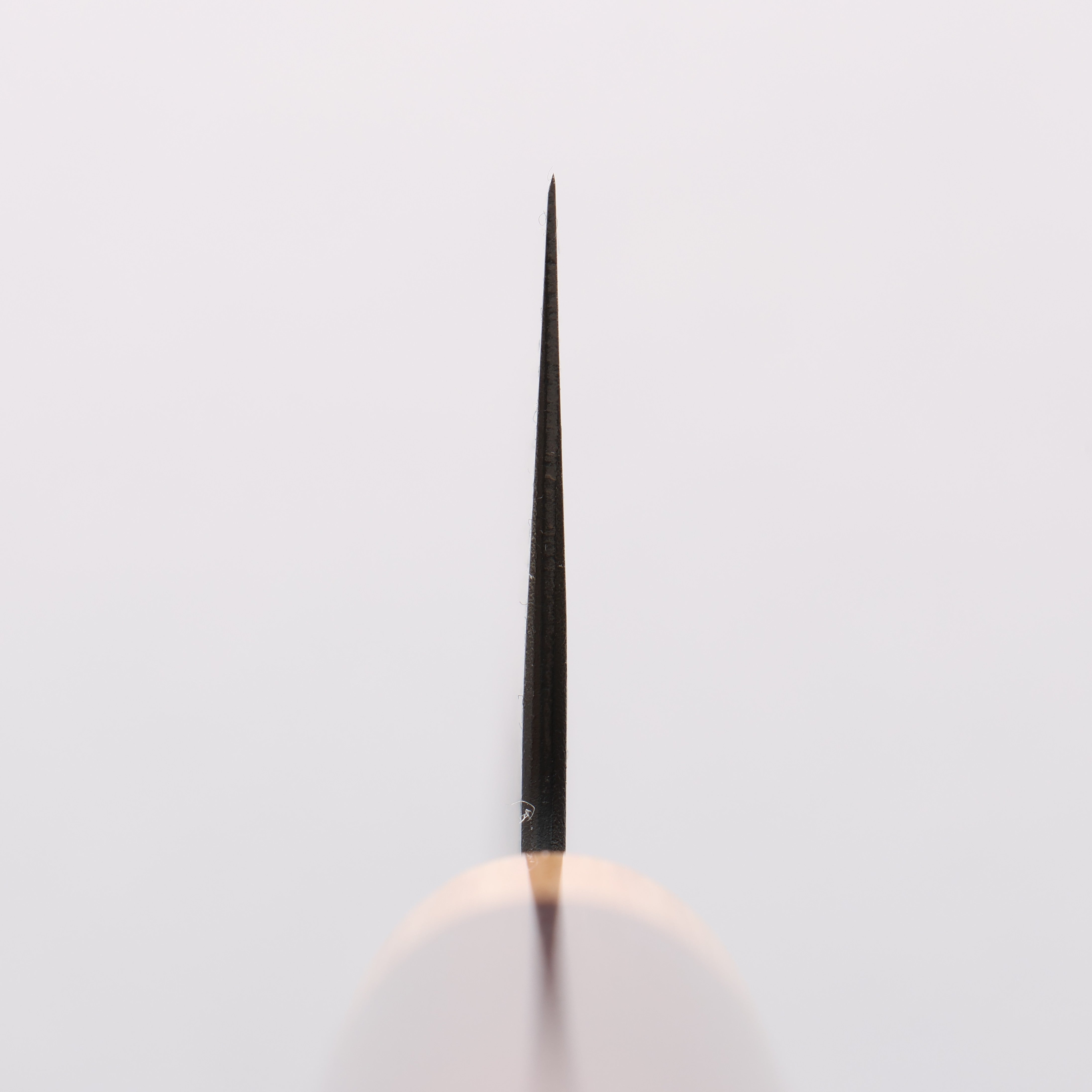 Seisuke Blue Super Black Nashiji Gyuto 240mm Rosewood (Ferrule: White Pakka Wood) Handle - Seisuke Knife