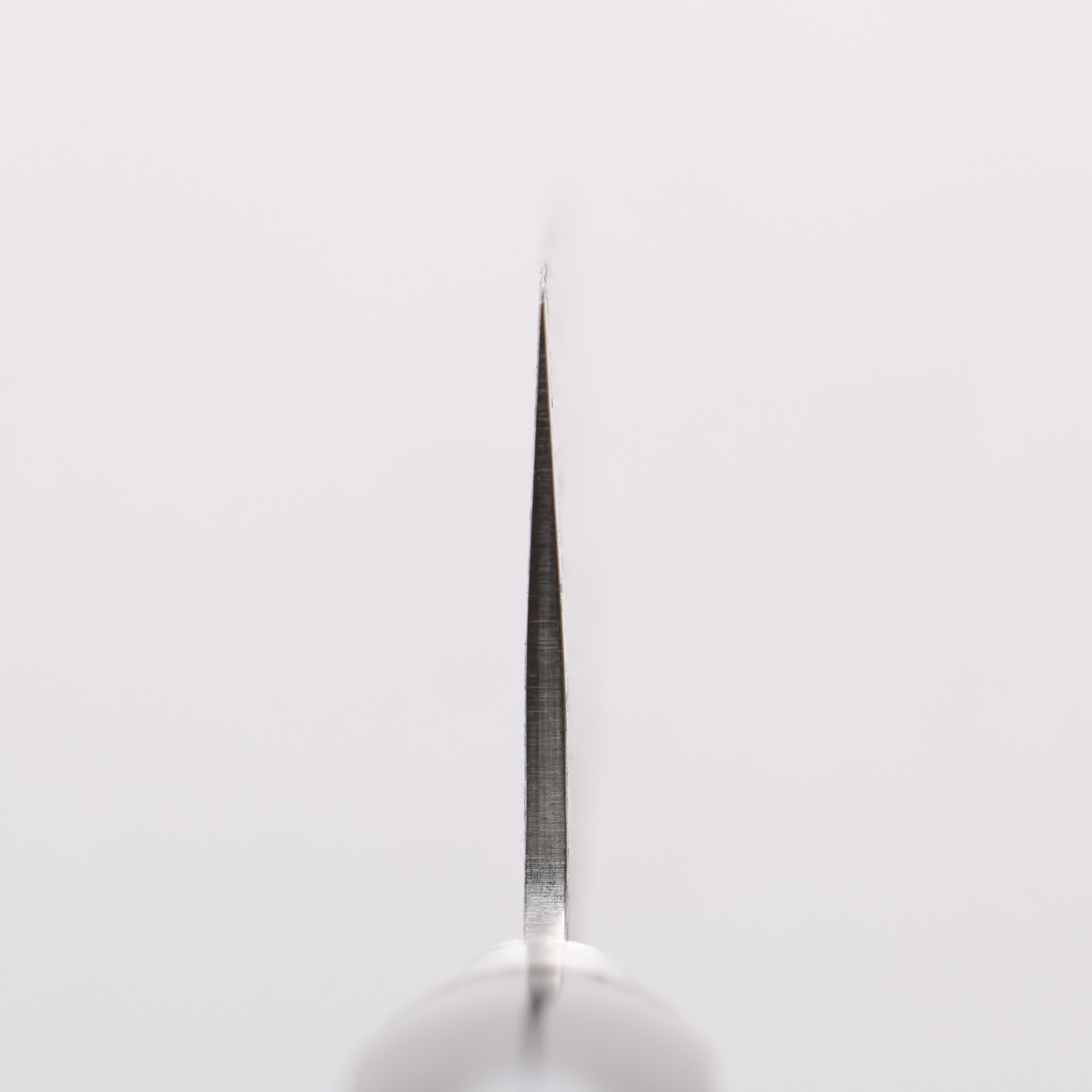 Seisuke Blue Steel No.2 Nashiji Hammered Gyuto 200mm Black Pakkawood Handle - Seisuke Knife