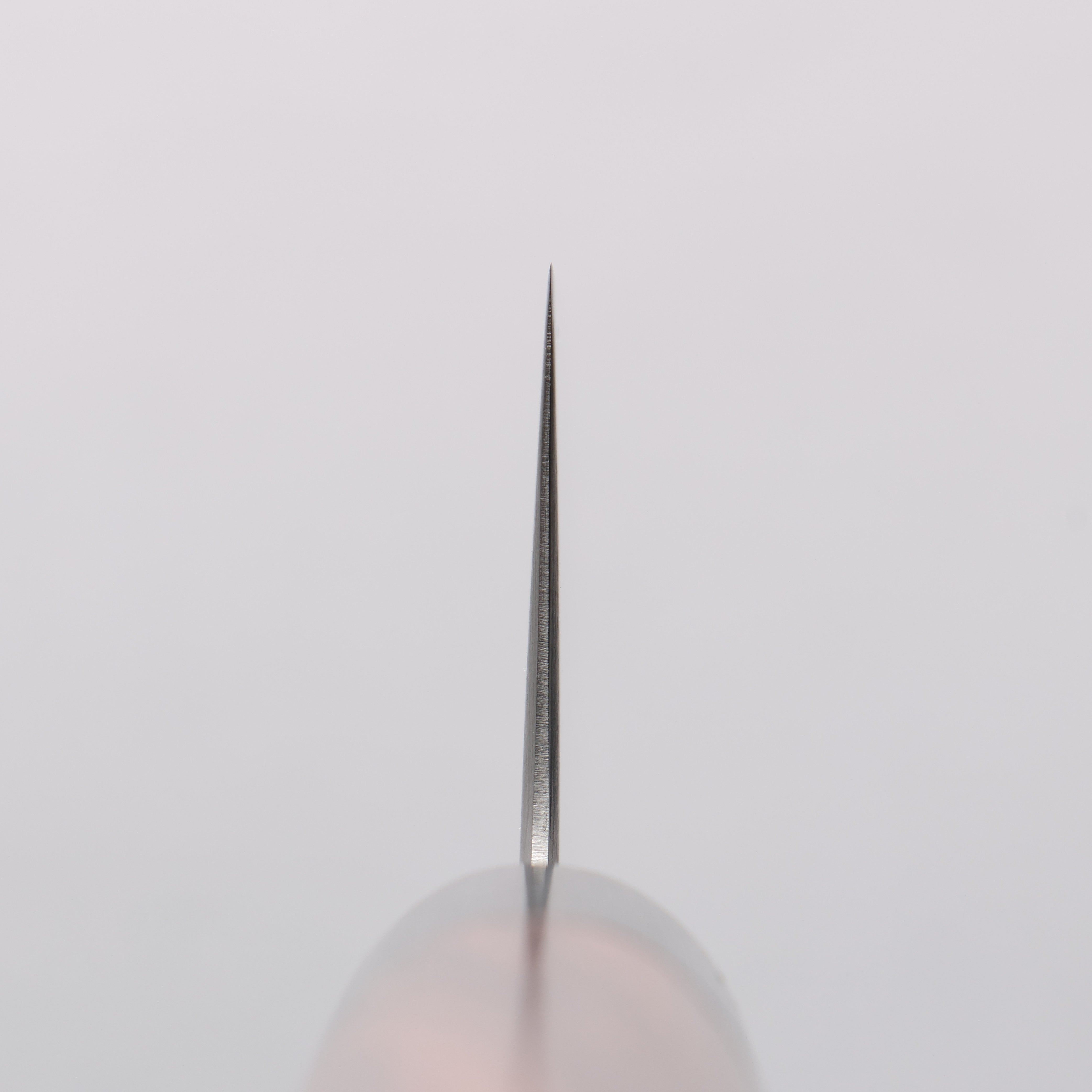 Seisuke Blue Super Gyuto 180mm Shitan Handle - Seisuke Knife