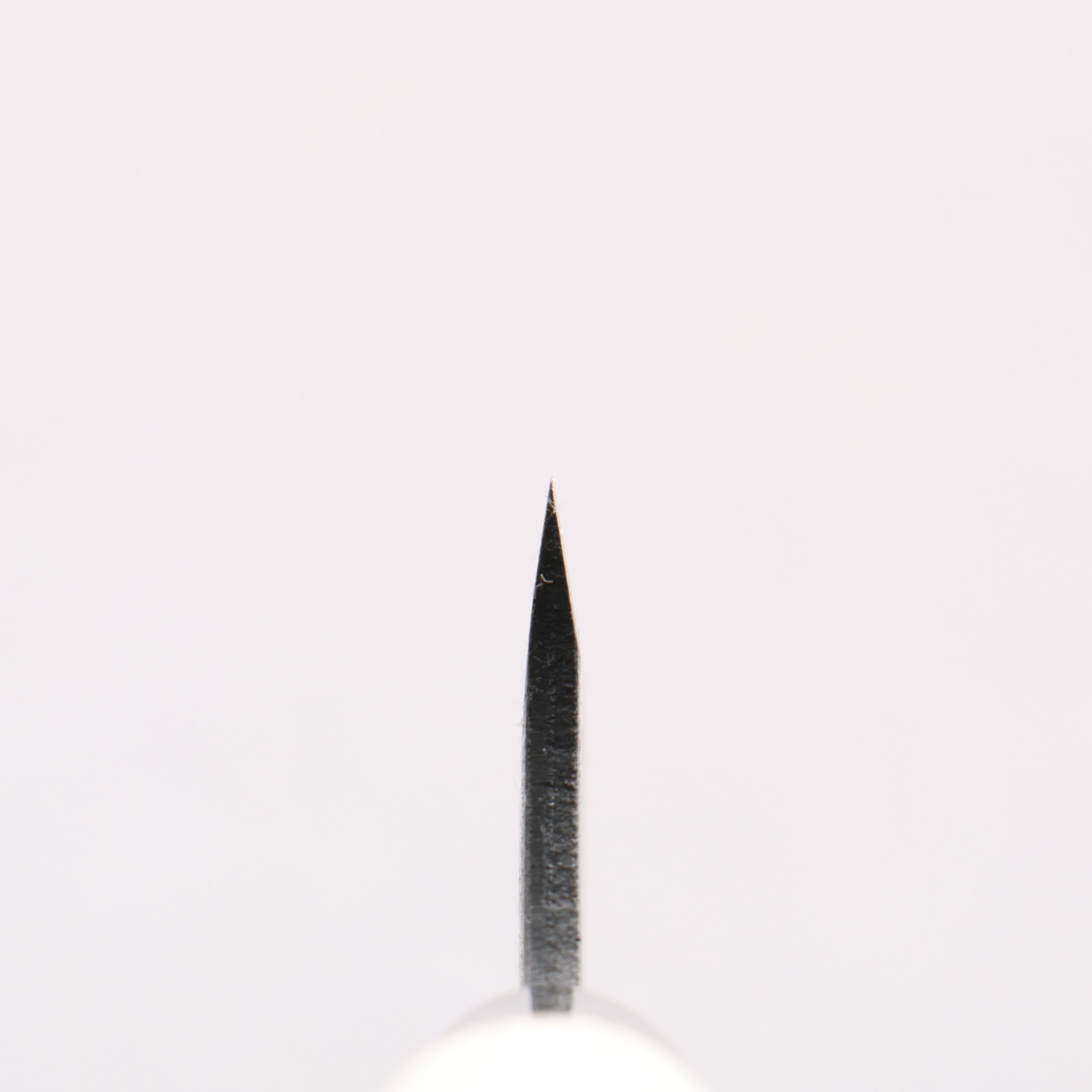 Sakai Takayuki Blue Steel No.2 Black Finished Wild Boar Skinning 80mm Magnolia Handle - Seisuke Knife