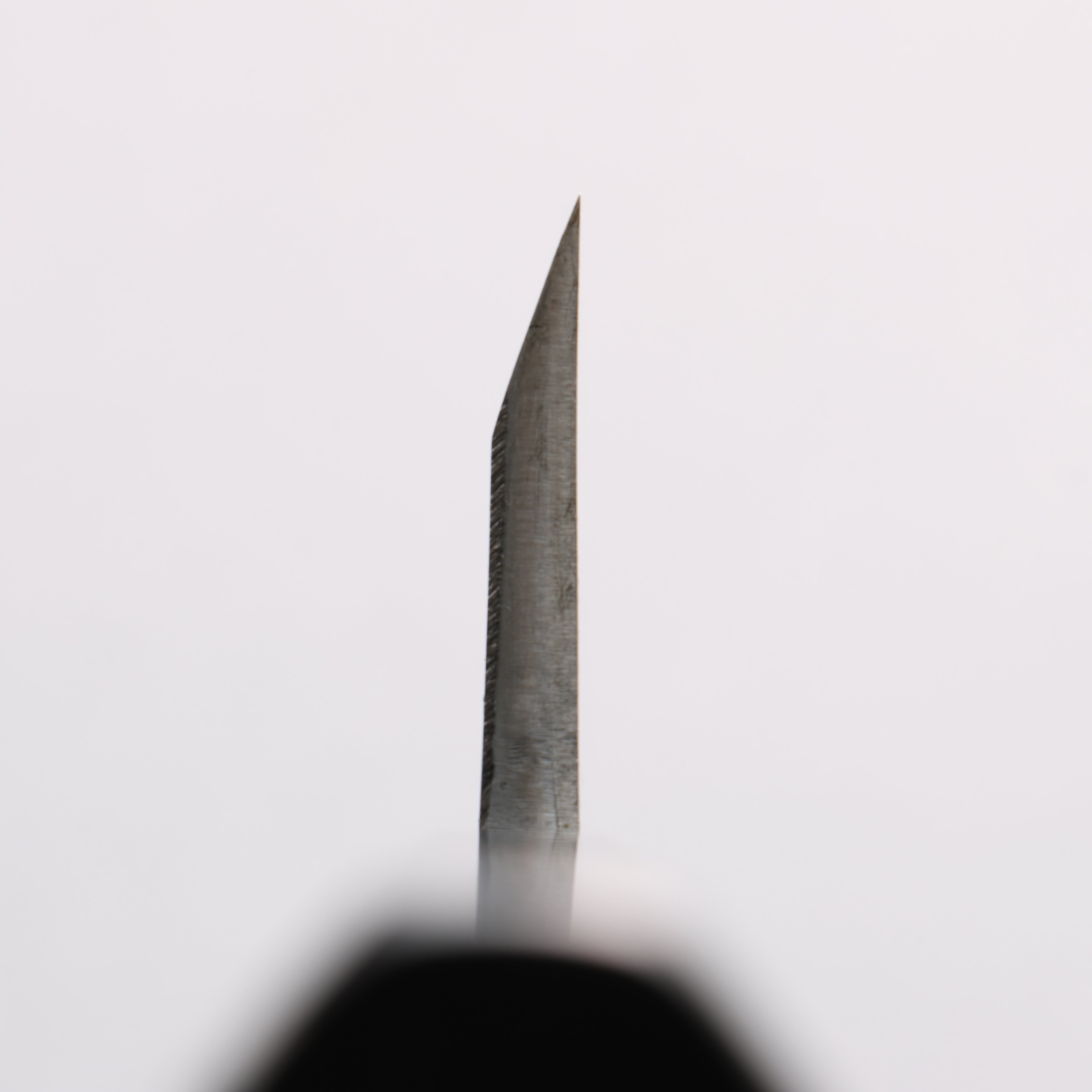 Minamoto Akitada Blue Steel No.2 Aideba 180mm Ebony Wood & Black Water Buffalo Horn Handle - Seisuke Knife