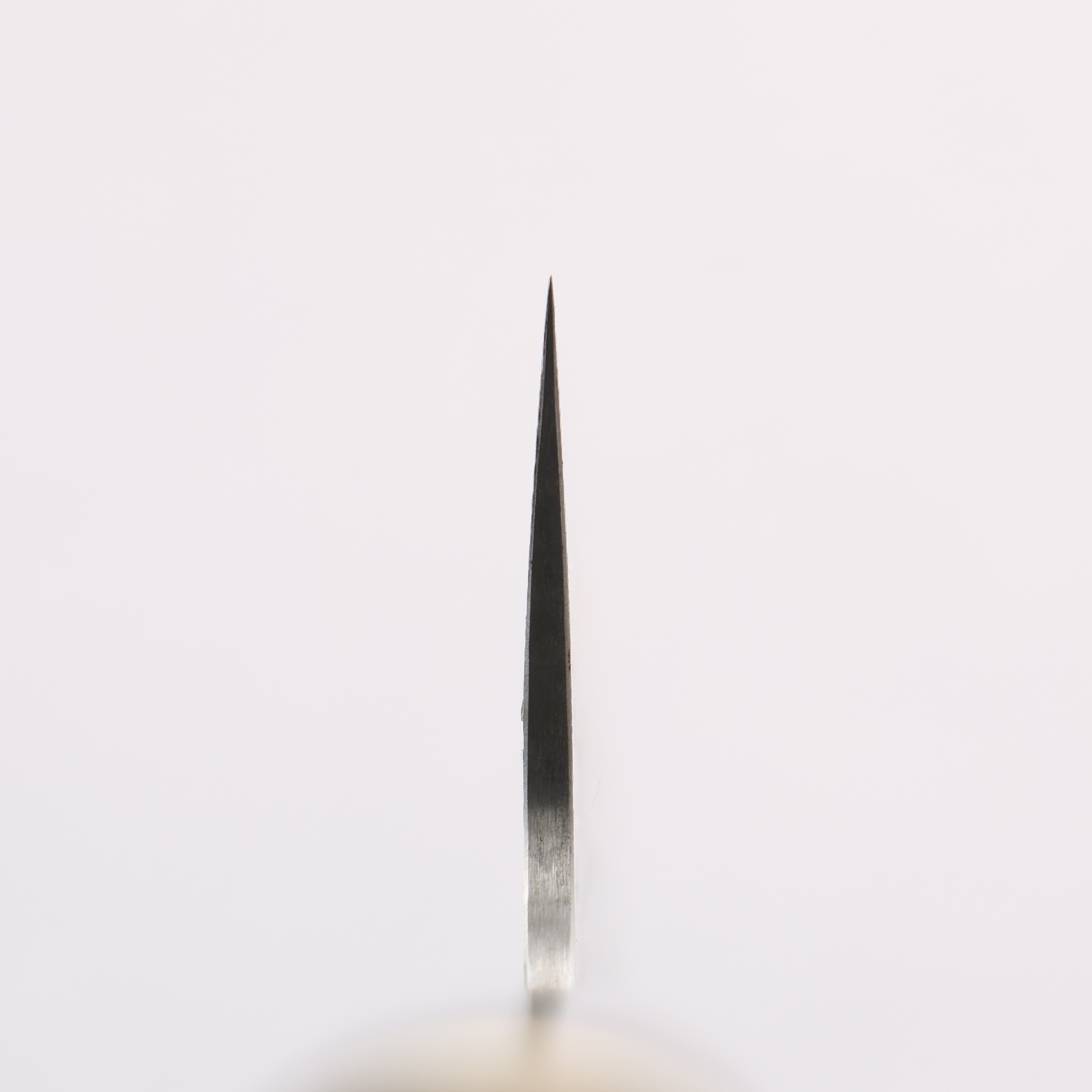 Takeshi Saji Maki-e Art Crane SG2 Diamond Finish Gyuto 240mm Wood(Lacquered) Handle with Sheath - Seisuke Knife
