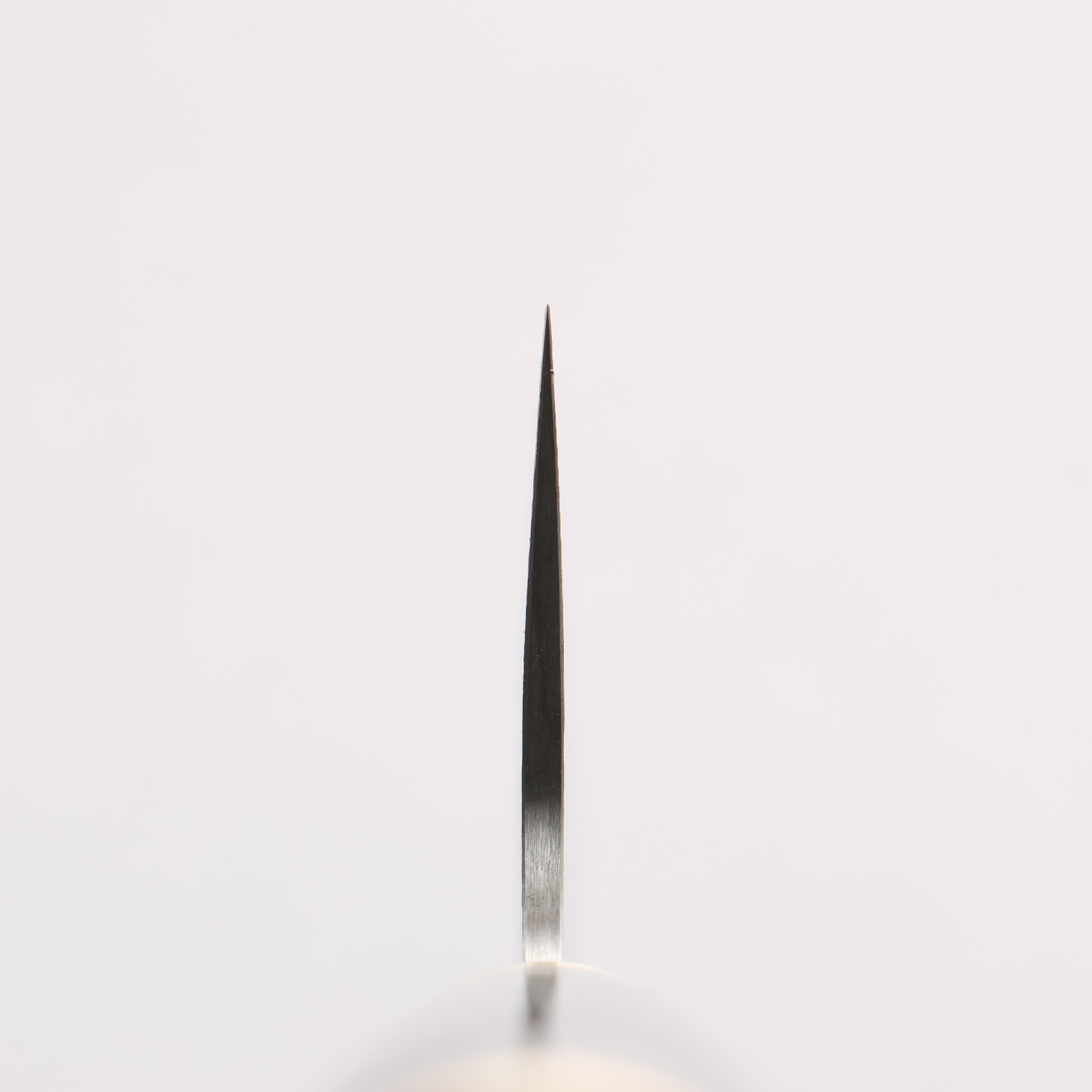 Takeshi Saji Maki-e Art Peacock SG2 Diamond Finish Gyuto 240mm Wood(Lacquered) Handle with Sheath - Seisuke Knife