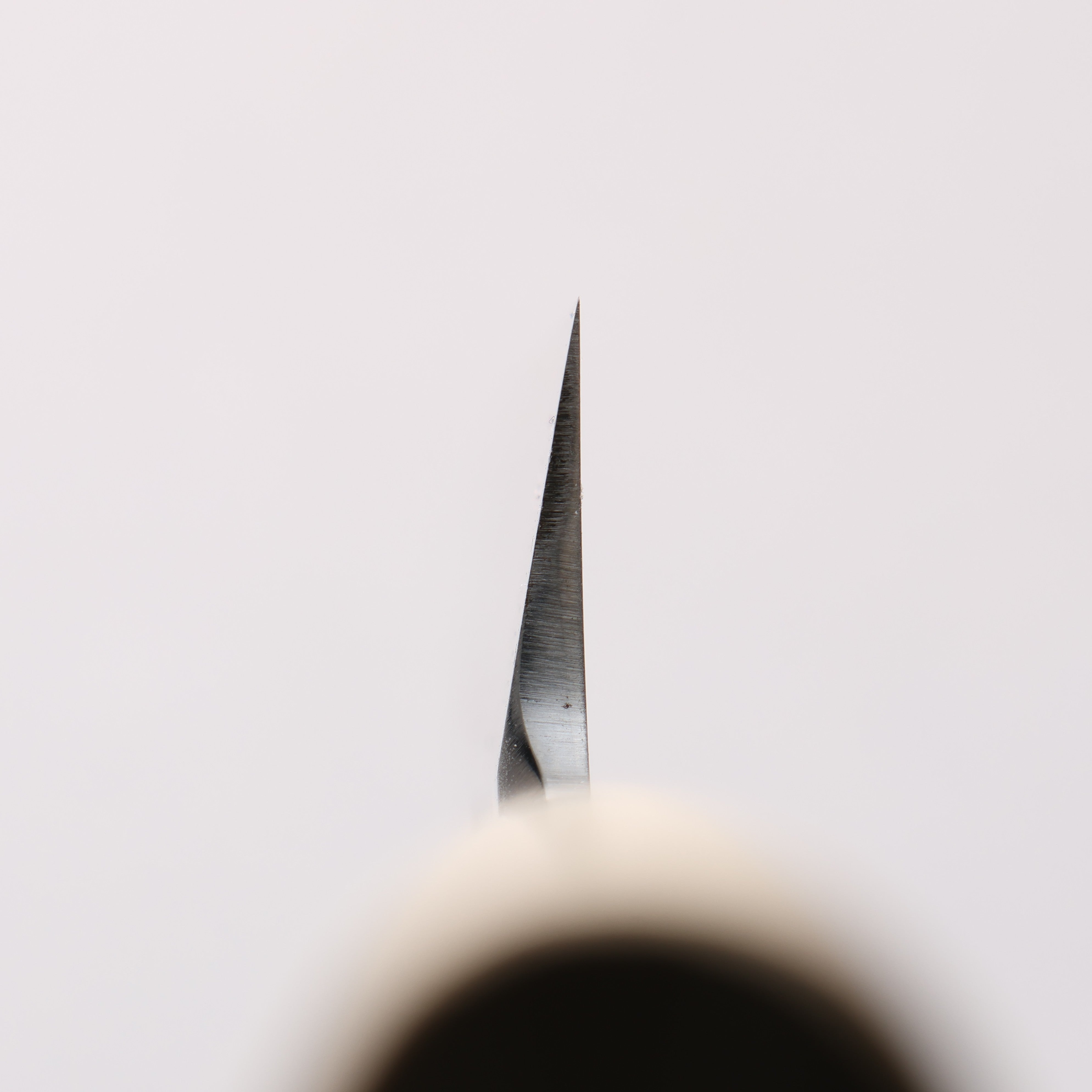 Sakai Takayuki Tokujyo White Steel No.2 Kiritsuke 240mm Magnolia Handle - Seisuke Knife