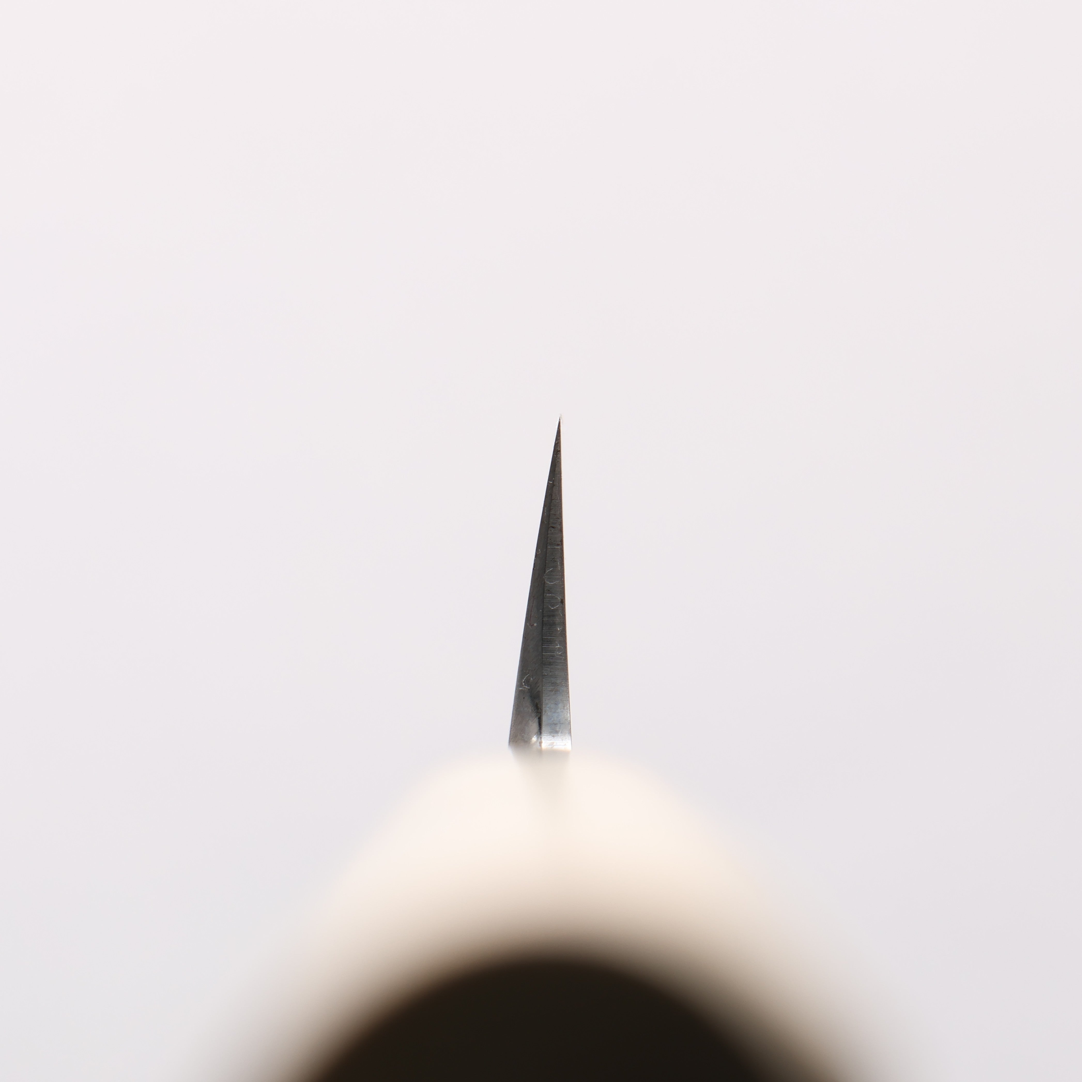 Sakai Takayuki White Steel No.2 Migaki Fuguhiki - Seisuke Knife