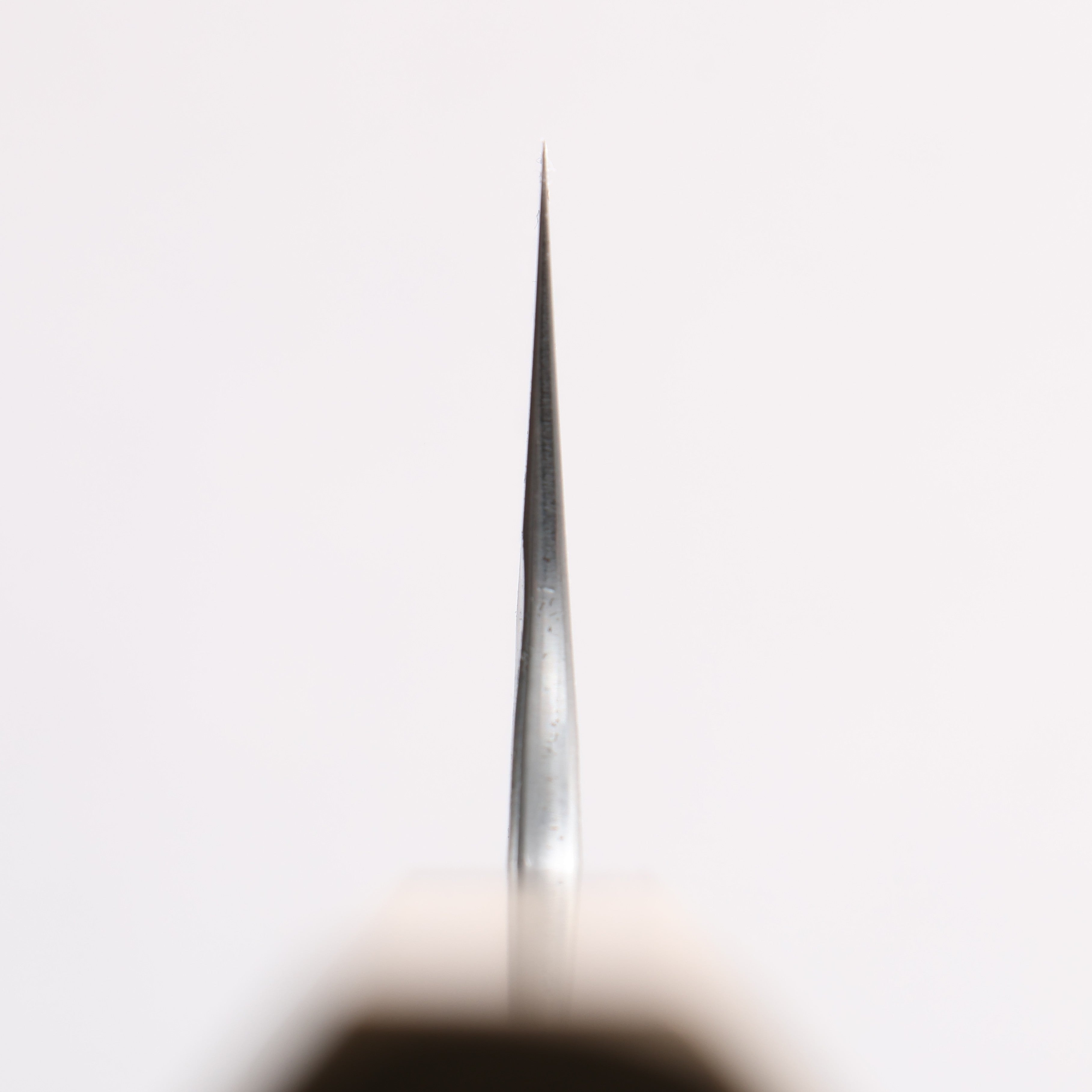 Anryu Blue Super Hammered Migaki Finished Gyuto 210mm Magnolia & Ebony Handle - Seisuke Knife