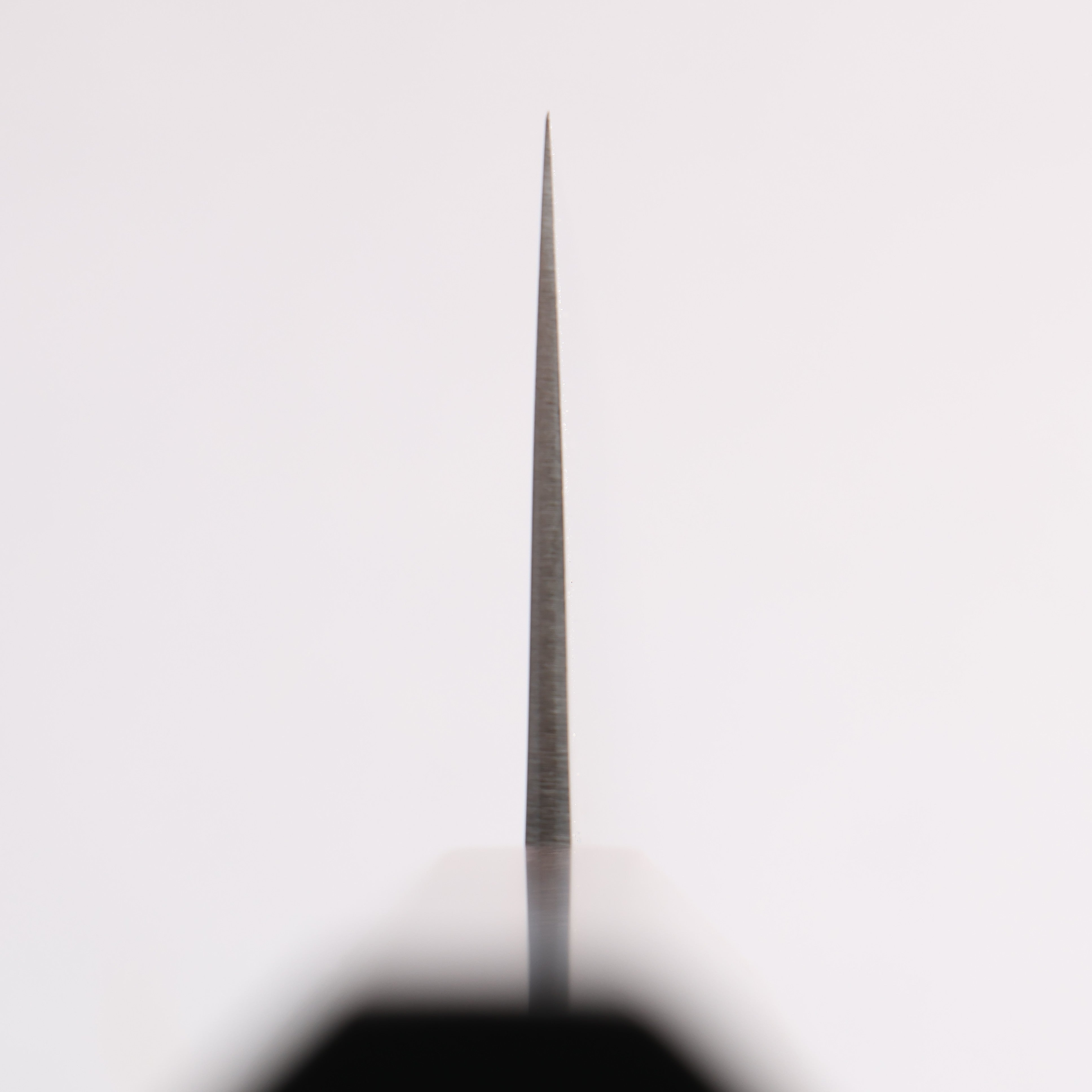 Seisuke SG2 Gyuto 270mm Ebony Wood Handle - Seisuke Knife