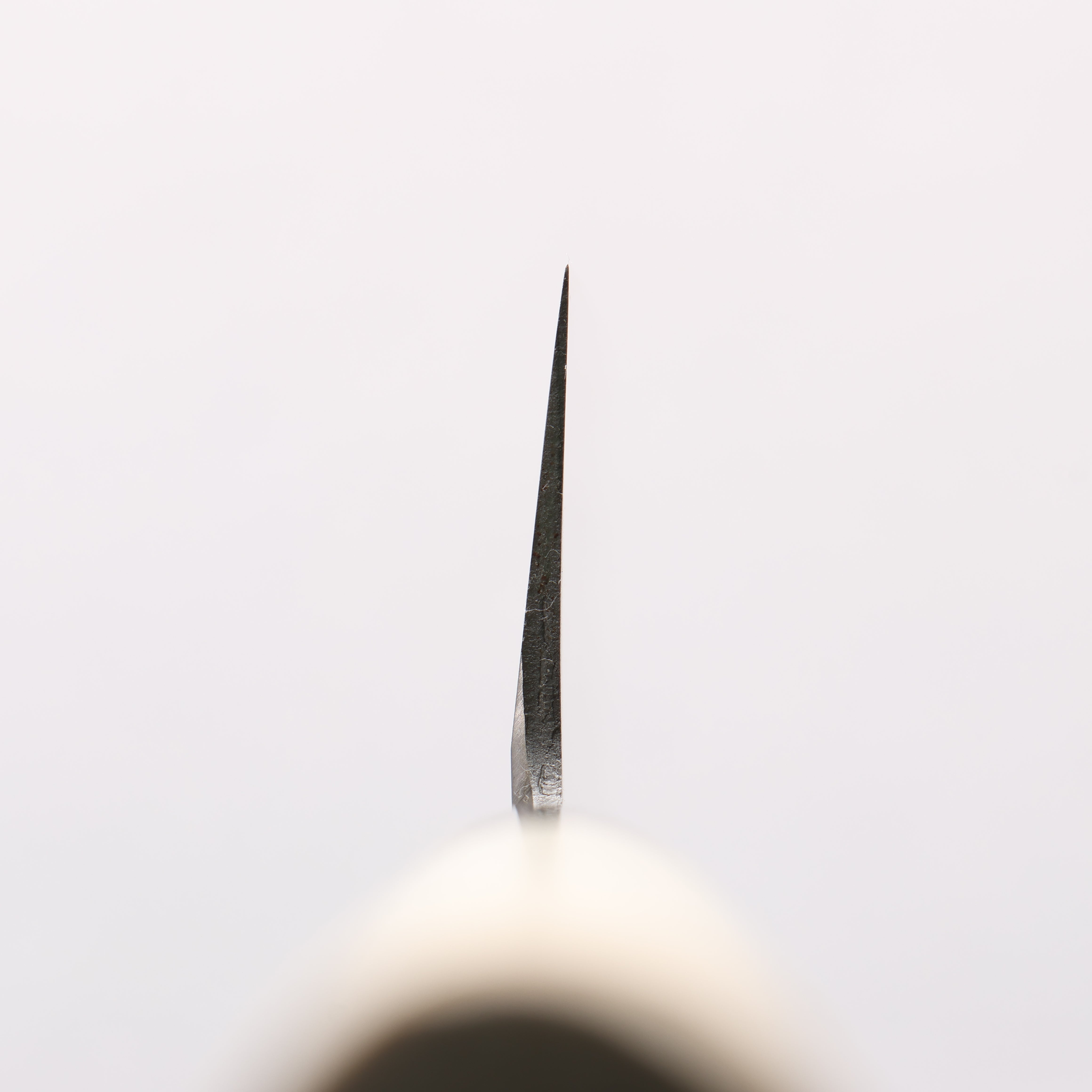 Sakai Takayuki INOX Molybdenum Usuba 180mm Magnolia Handle - Seisuke Knife