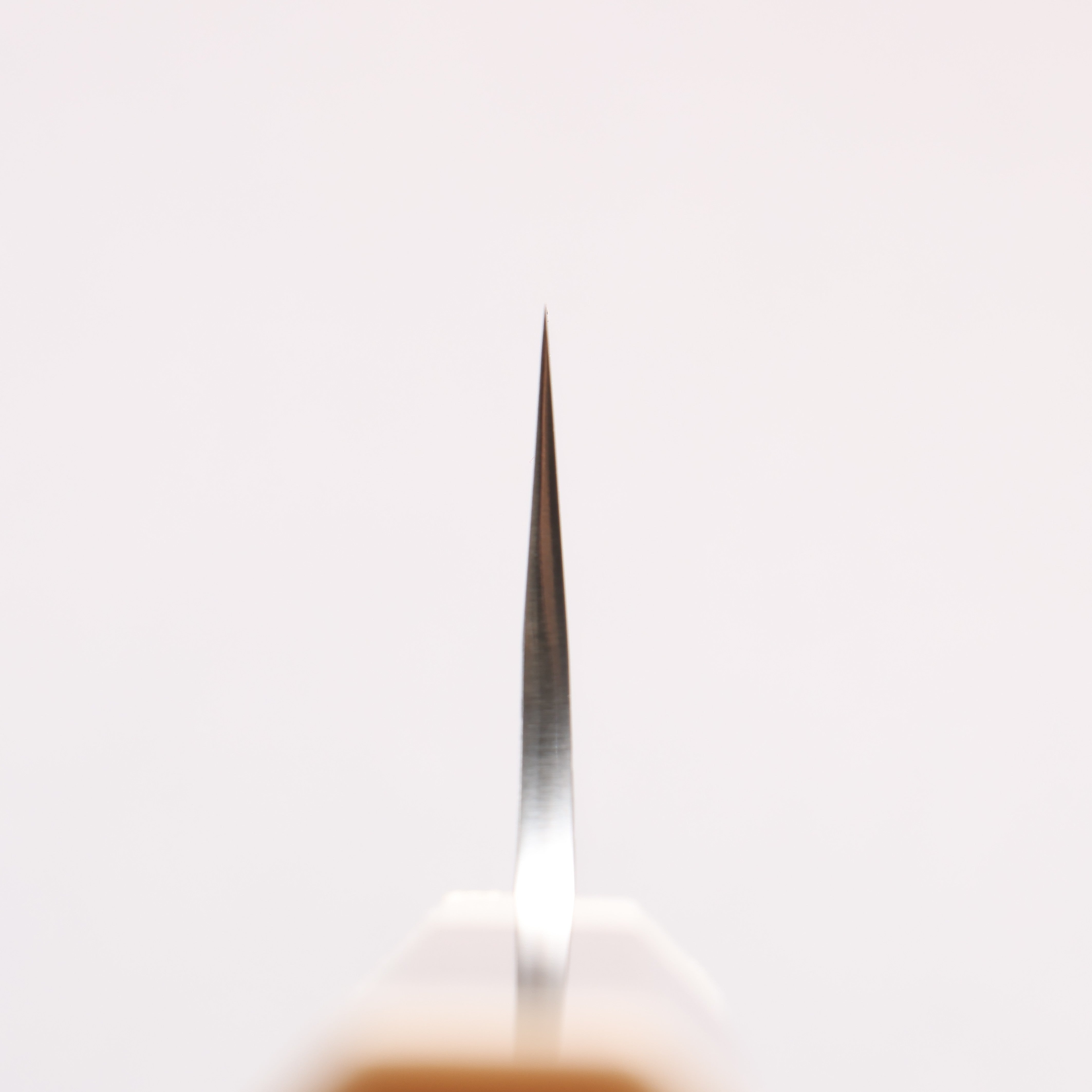 Yu Kurosaki Fujin SG2 Hammered Gyuto 210mm Chinese Quince Burl (White Ferrule and End Cap) Handle - Seisuke Knife