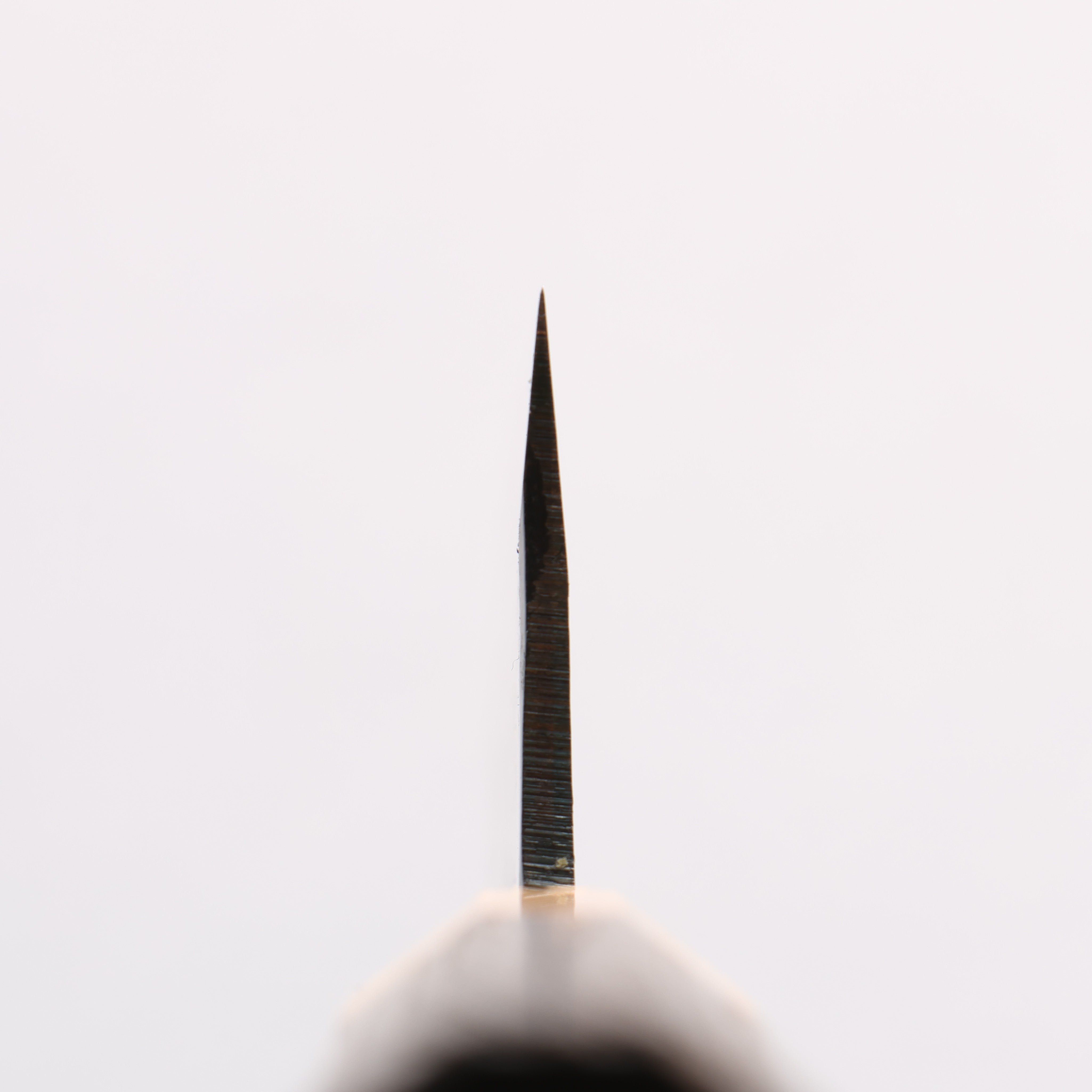 Seisuke Blue Super Black Finished Kiritsuke Gyuto 210mm Burnt Chestnut (ferrule: Cherry Wood) Handle - Seisuke Knife