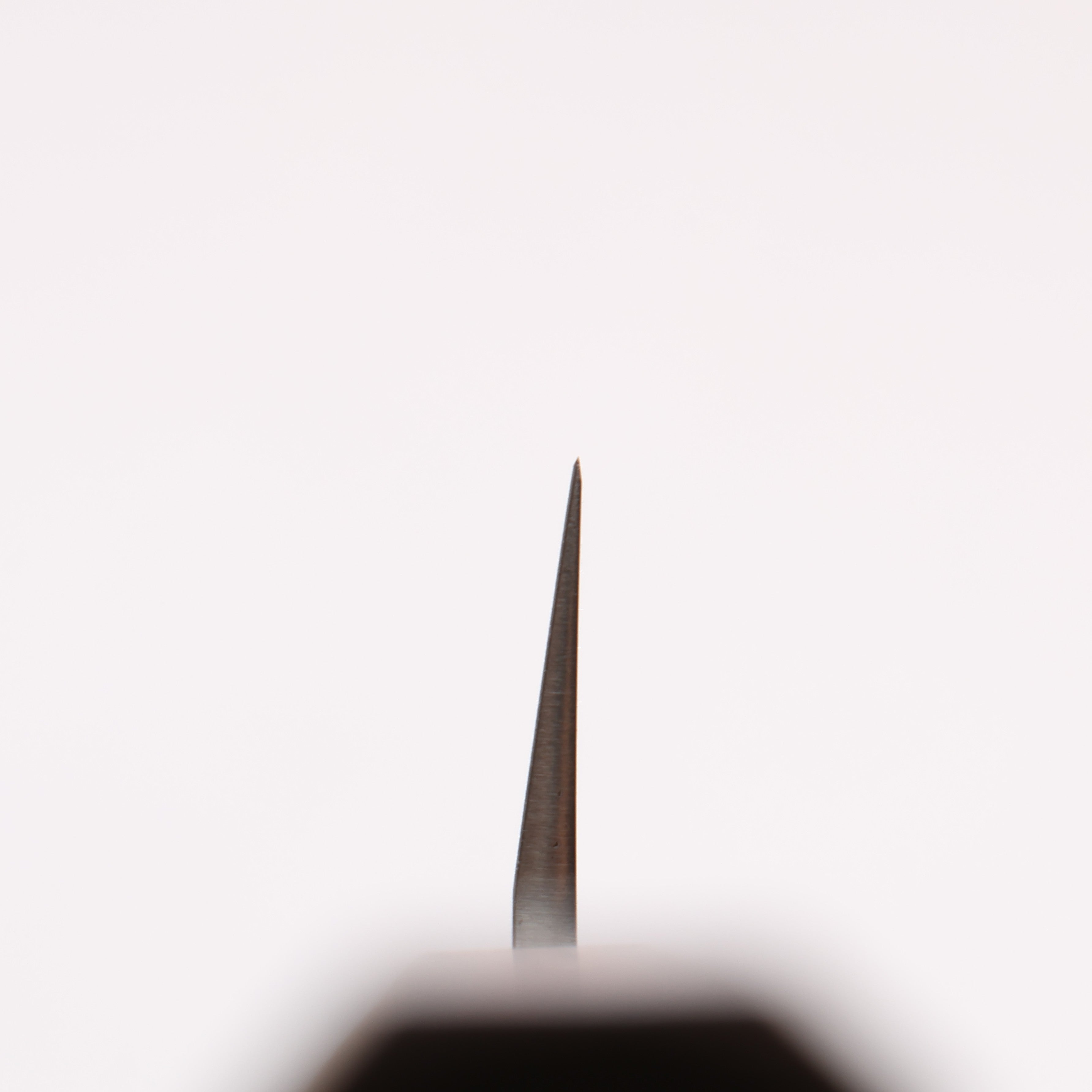Seisuke AUS8 Yanagiba 300mm Oak Handle - Seisuke Knife