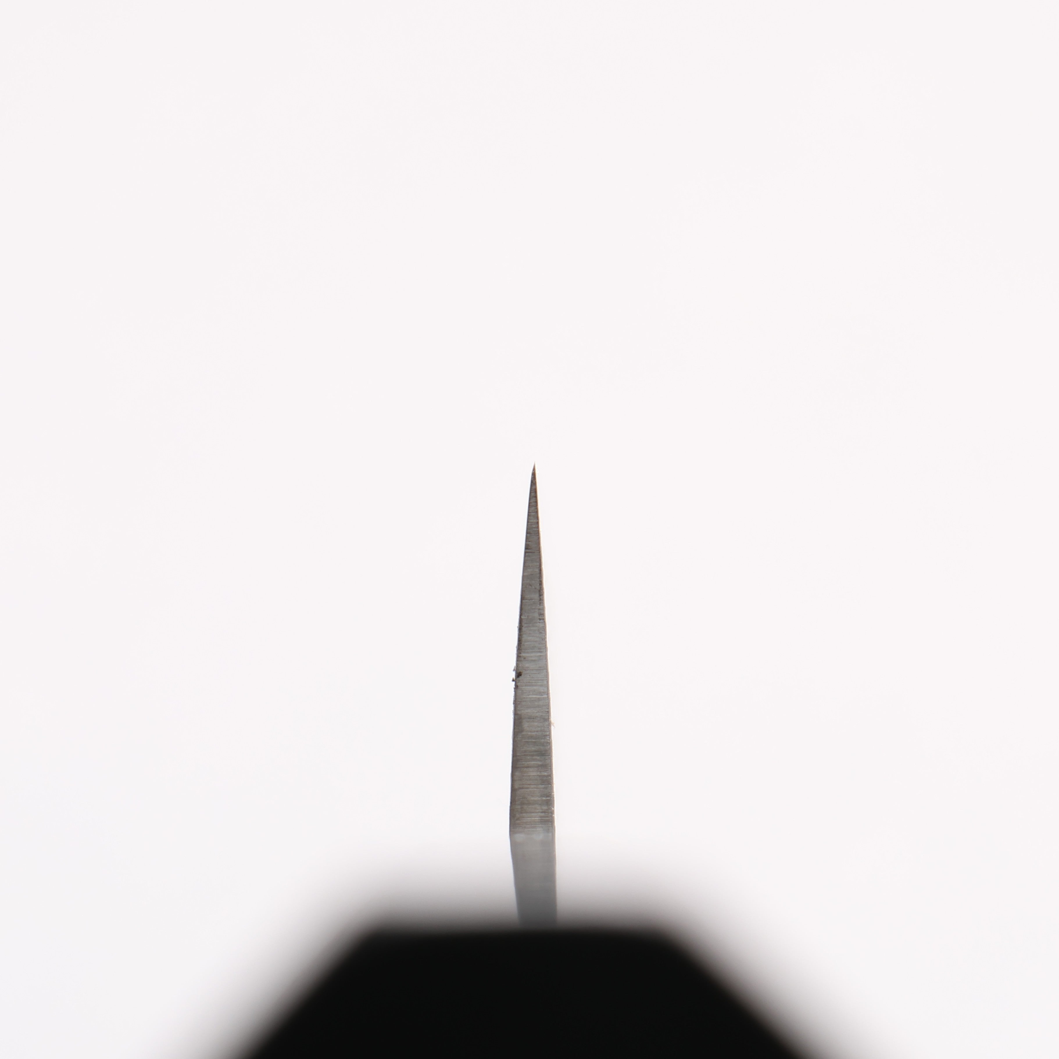 Shigeki Tanaka Habakiri SG2 Damascus Slicer 240mm Ebony Wood Handle - Seisuke Knife