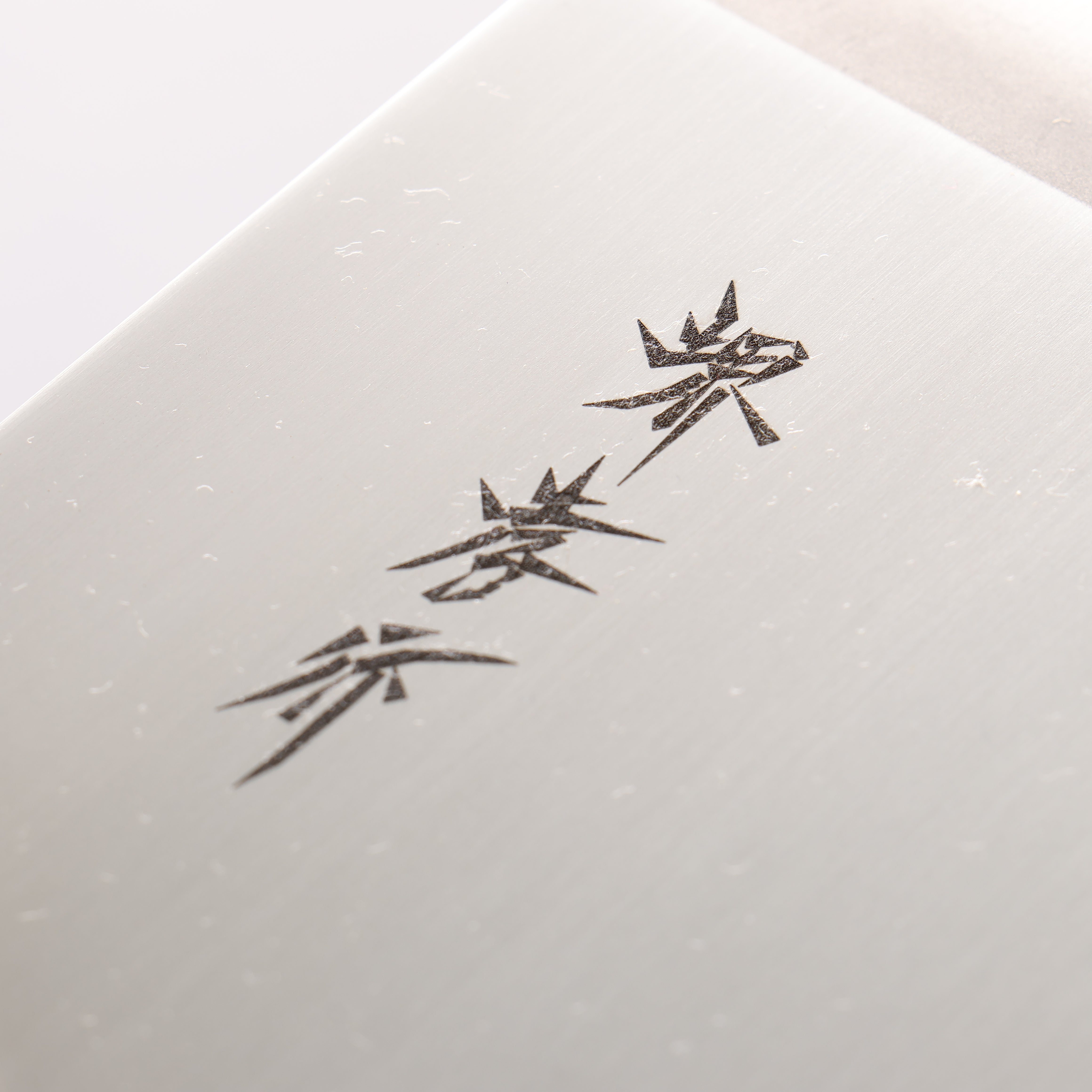 Sakai Takayuki Molybdenum Soba 270mm - Seisuke Knife