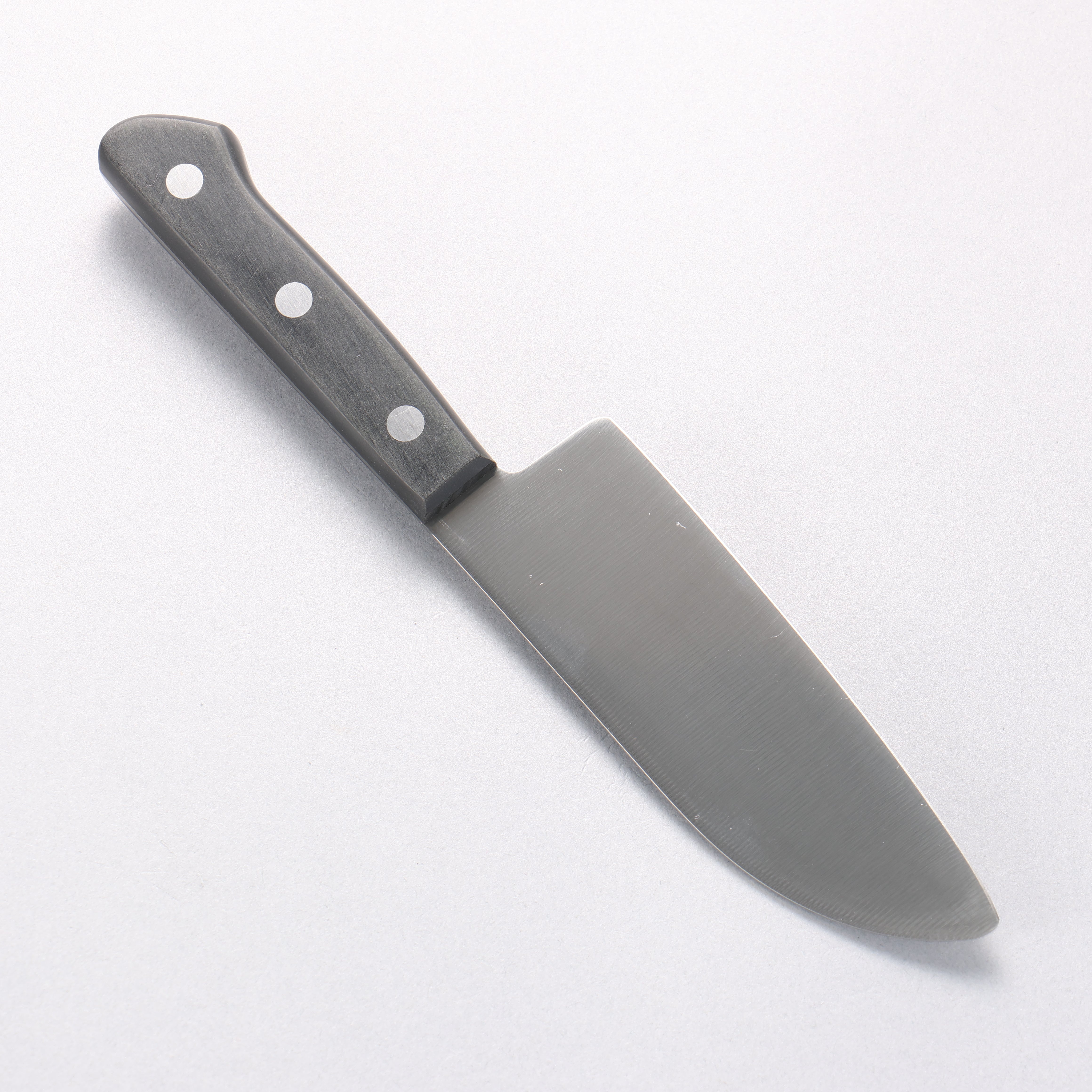 Sakai Takayuki Molybdenum Kitchen Knife for Kids (Black) - Seisuke Knife