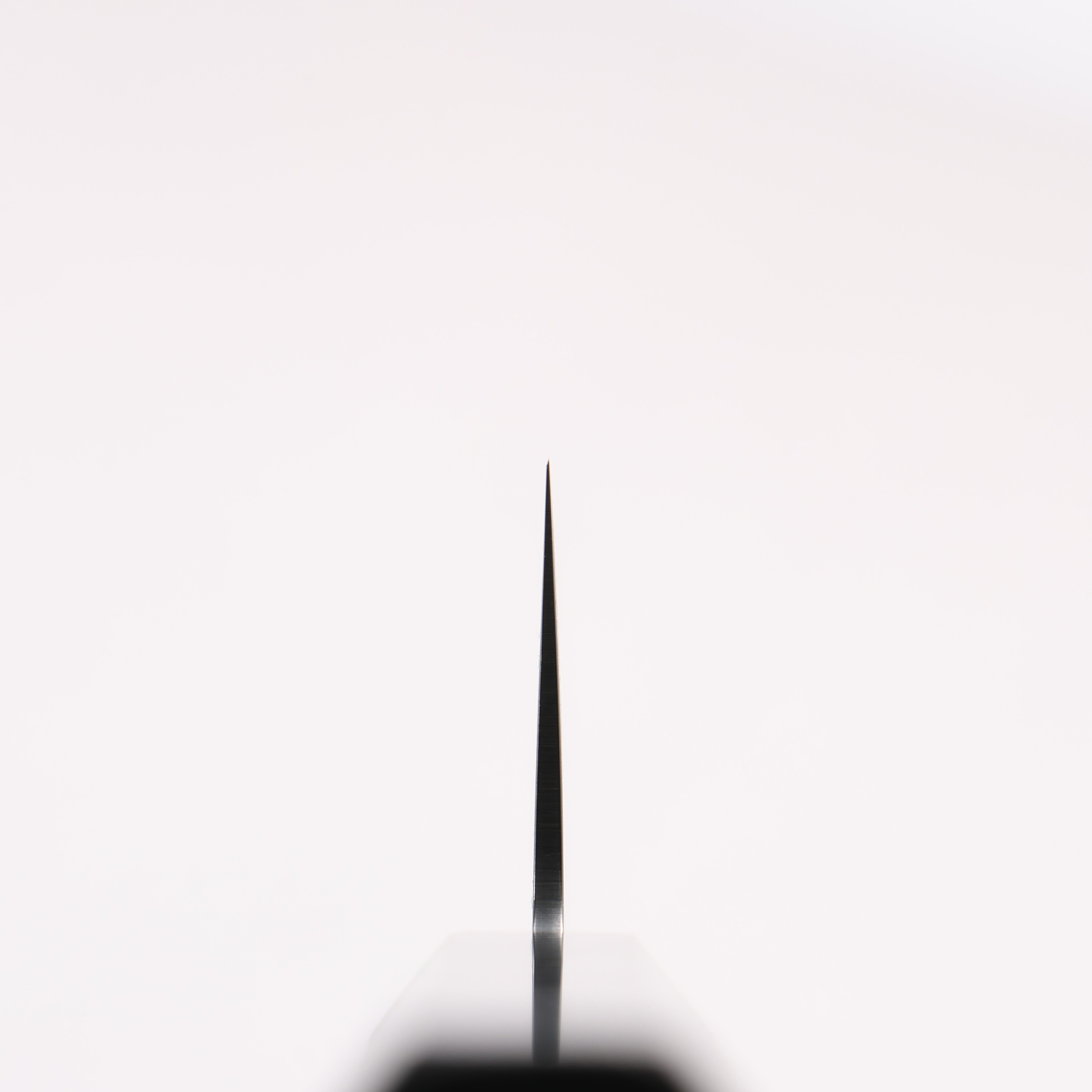 Seisuke Dark Horse SG2 Black Damascus Kiritsuke Santoku 180mm Black Pakka wood Handle - Seisuke Knife