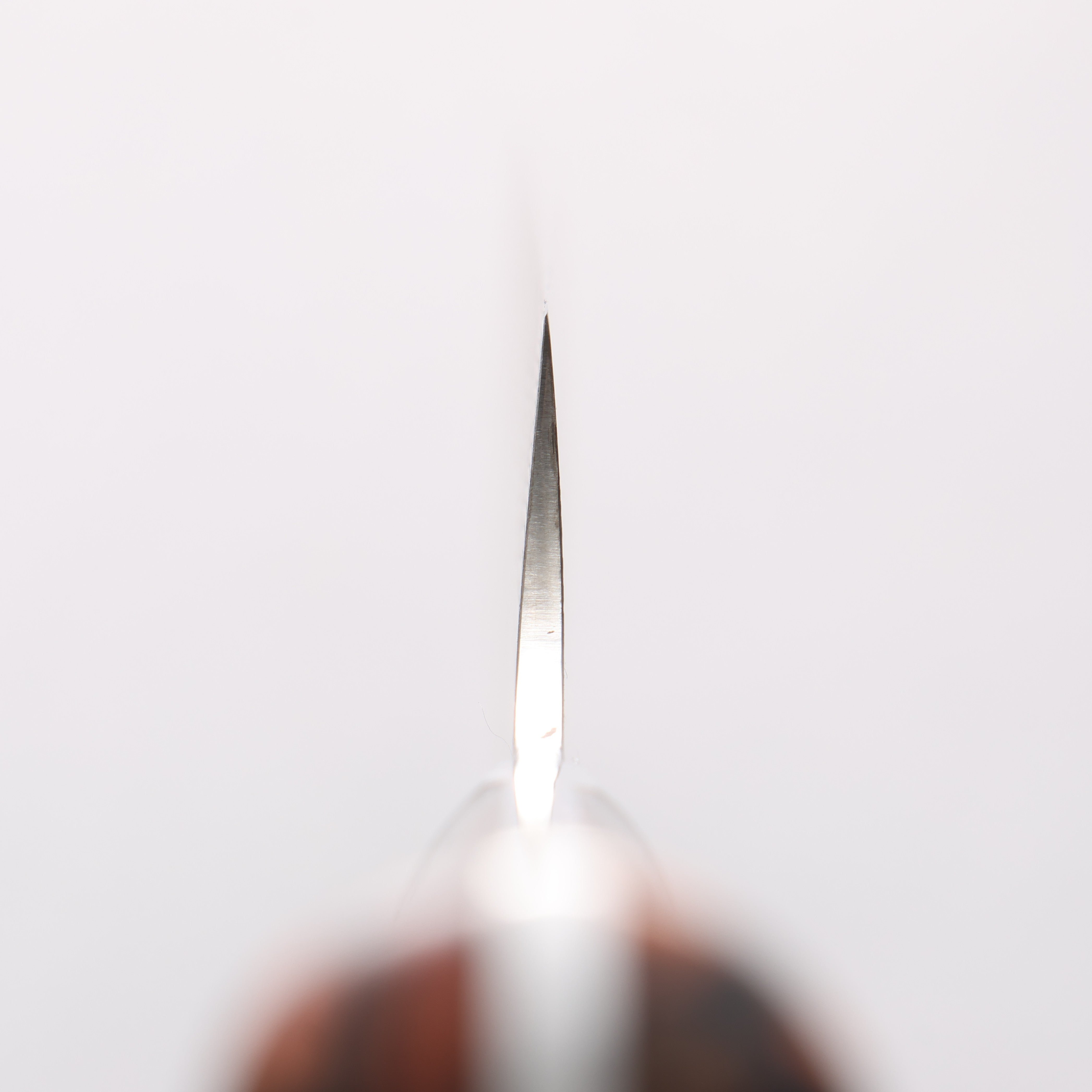 Takeshi Saji SG2 Black Damascus Sakimaru Sujihiki 240mm Black Gold Acrylic Handle - Seisuke Knife