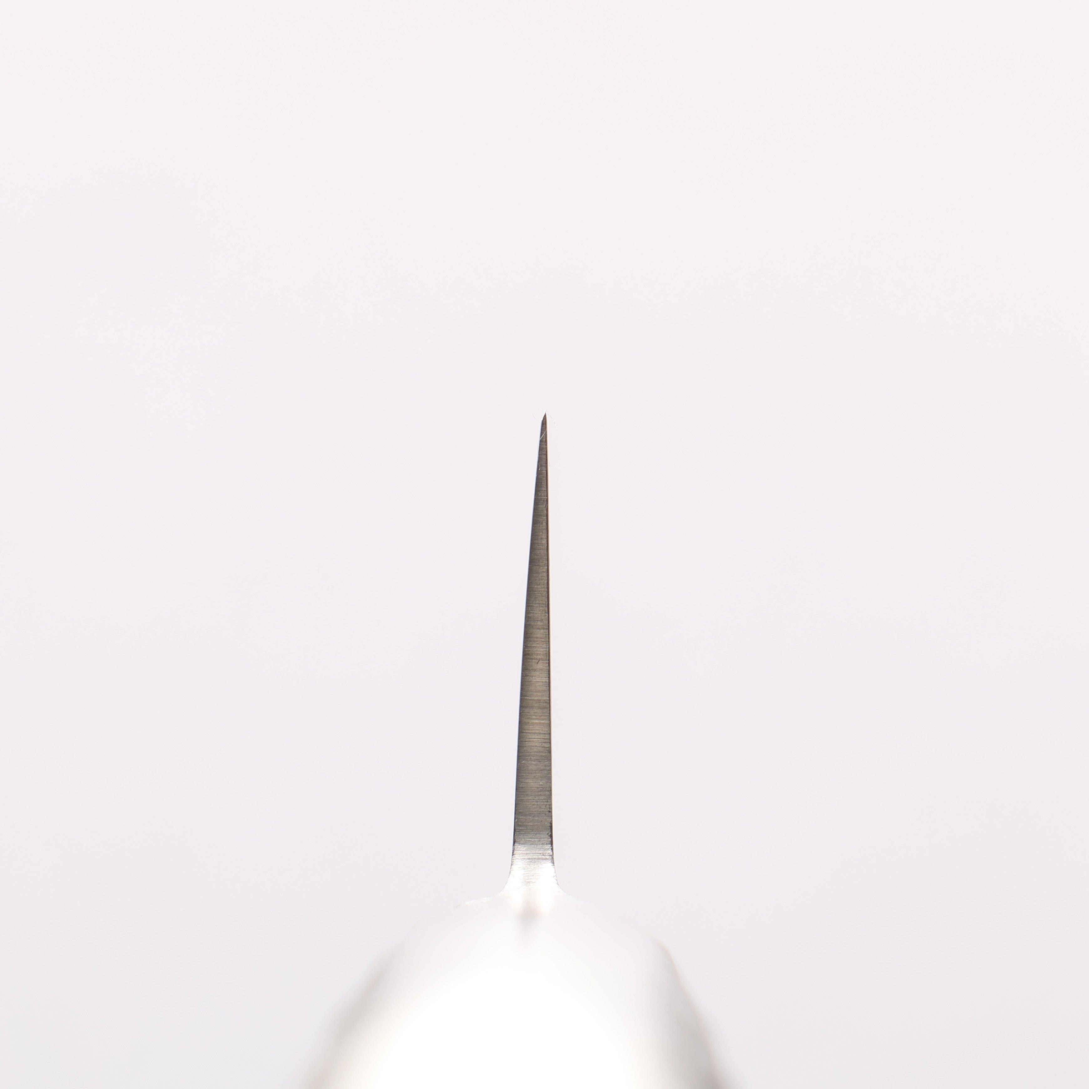 Sakai Takayuki INOX PRO Molybdenum Petty-Utility 150mm - Seisuke Knife