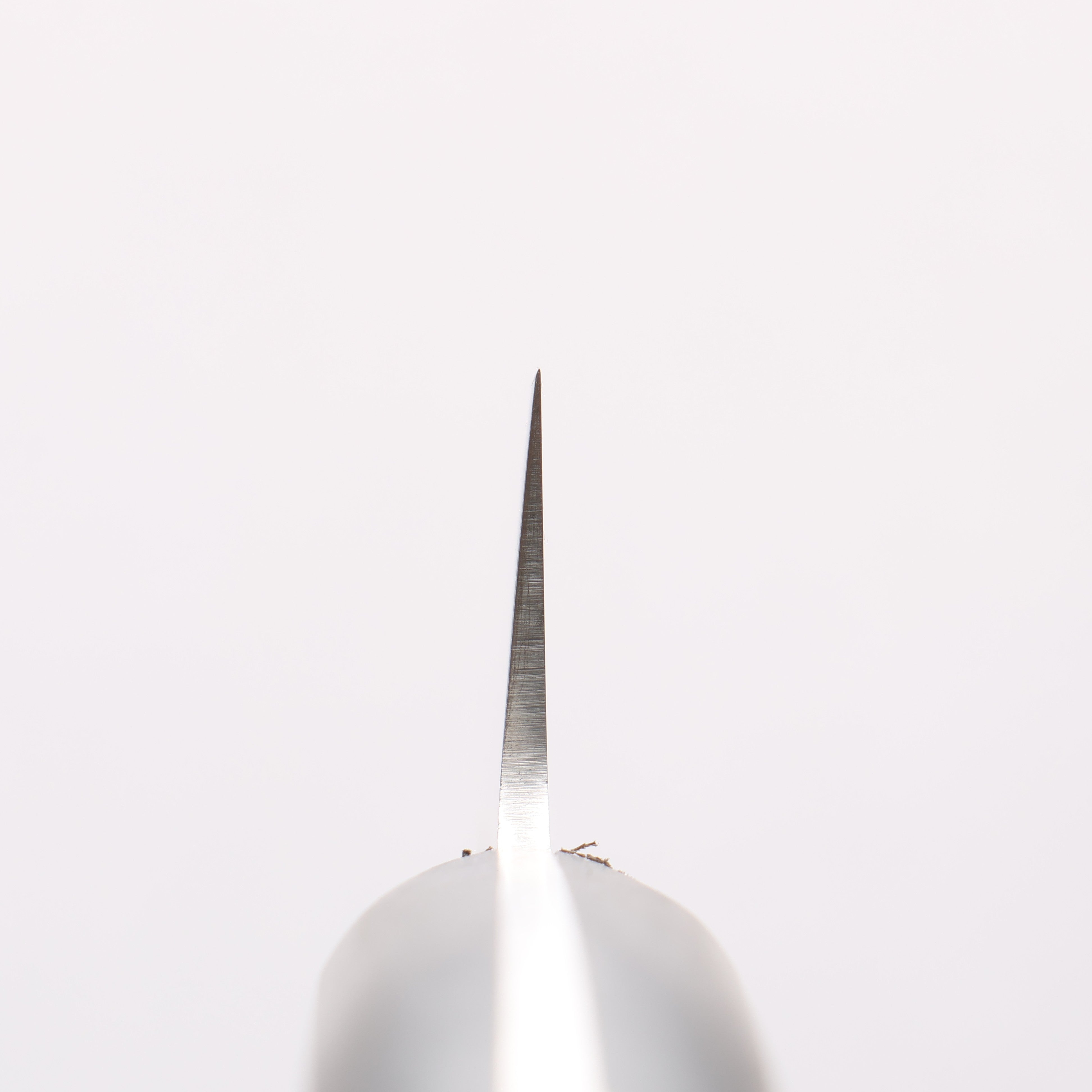 Sakai Takayuki Molybdenum Sabaki 150mm - Seisuke Knife