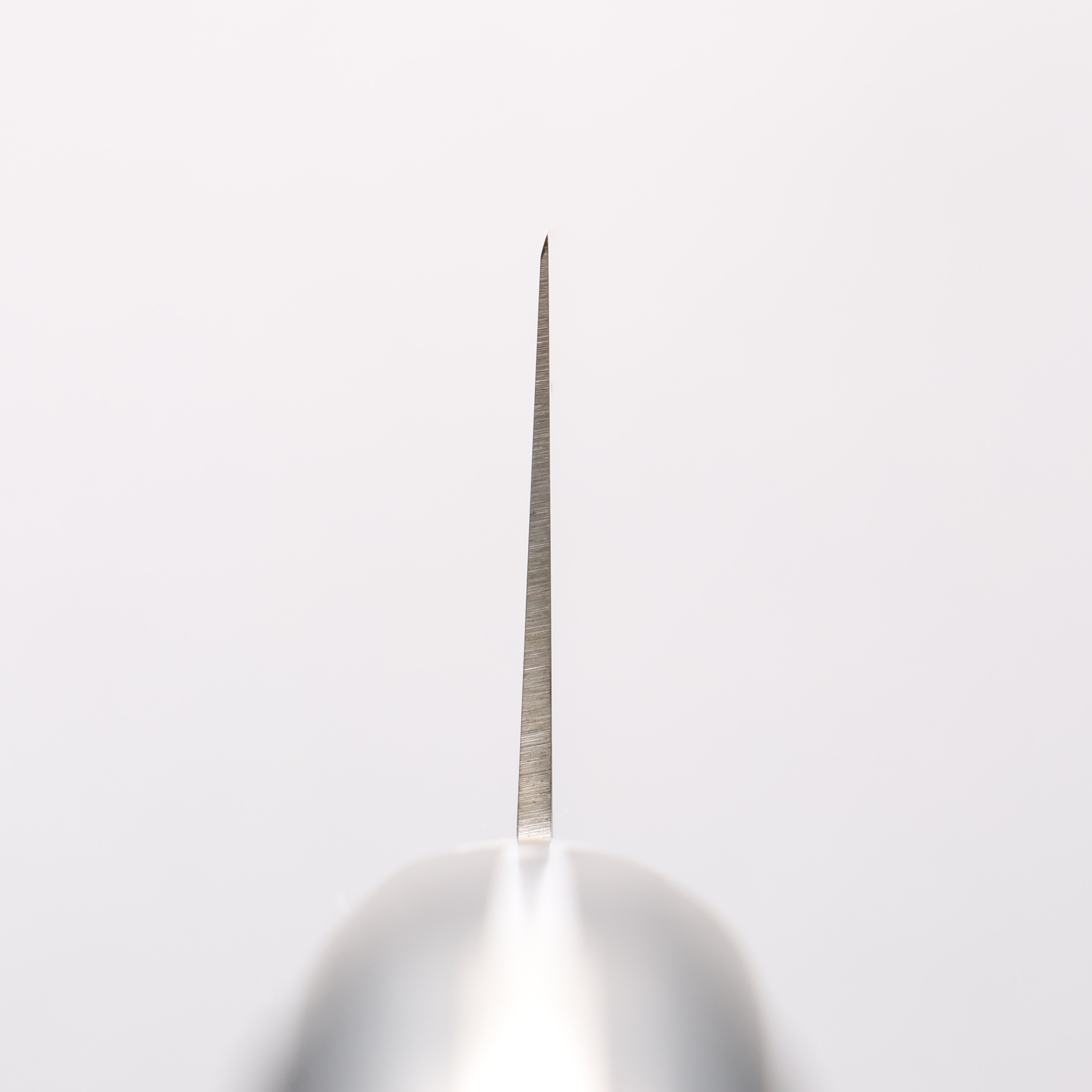 Sakai Takayuki Grand Chef Swedish Steel-stn Gyuto - Seisuke Knife